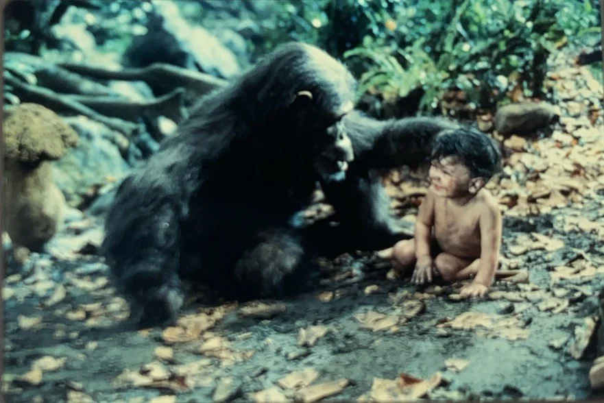 GREYSTOKE THE LEGEND OF TARZAN 1984 35mm Publicity Slides x2, image 3