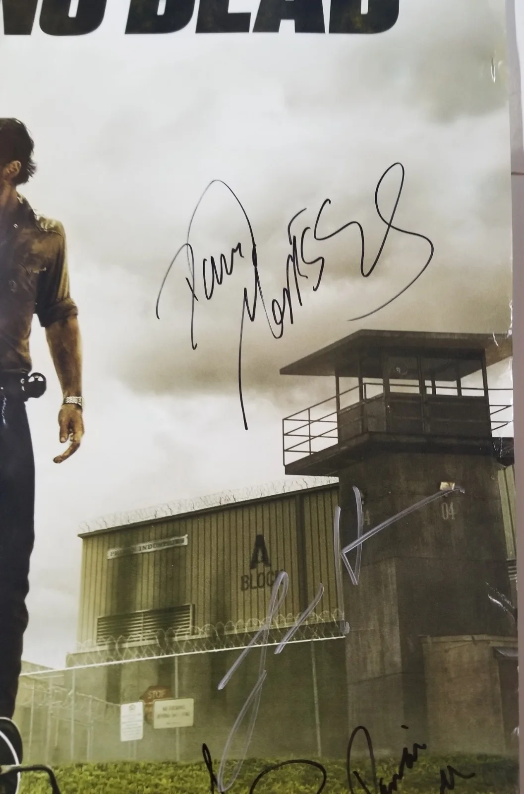 Norman Reedus, Andrew Lincoln, Jon Bernthal — The Walking Dead REAL cast SIGNED 24x36 Poster JSA LOA Reedus Lincoln Bernthal, изображение 3