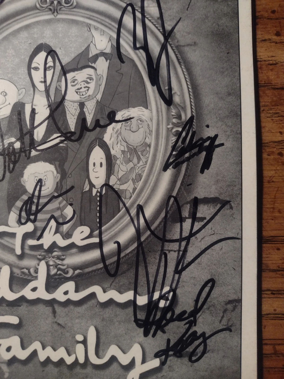 Nathan Lane — Addams Family Signed Theatre Playbill Nathan Lane C Carmello And More Rare, изображение 5
