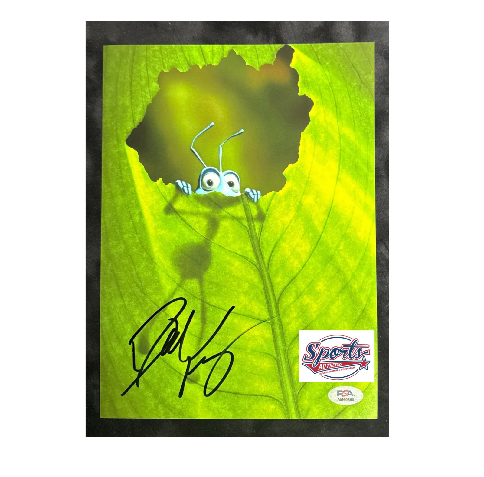Dave Foley — Dave Foley Signed 8x10 Photo A Bugs Life 'Filk' PSA AM60660