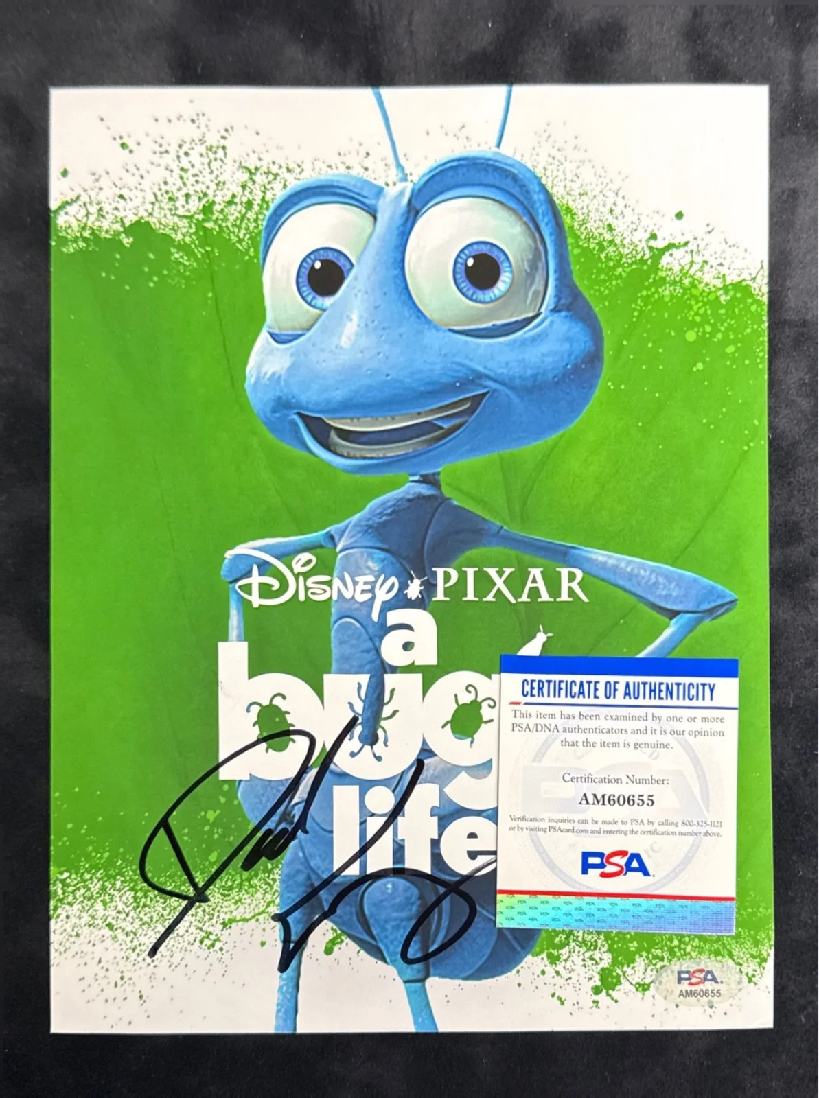 Dave Foley — Dave Foley Signed 8x10 Photo A Bugs Life 'Filk' PSA AM60655, изображение 2