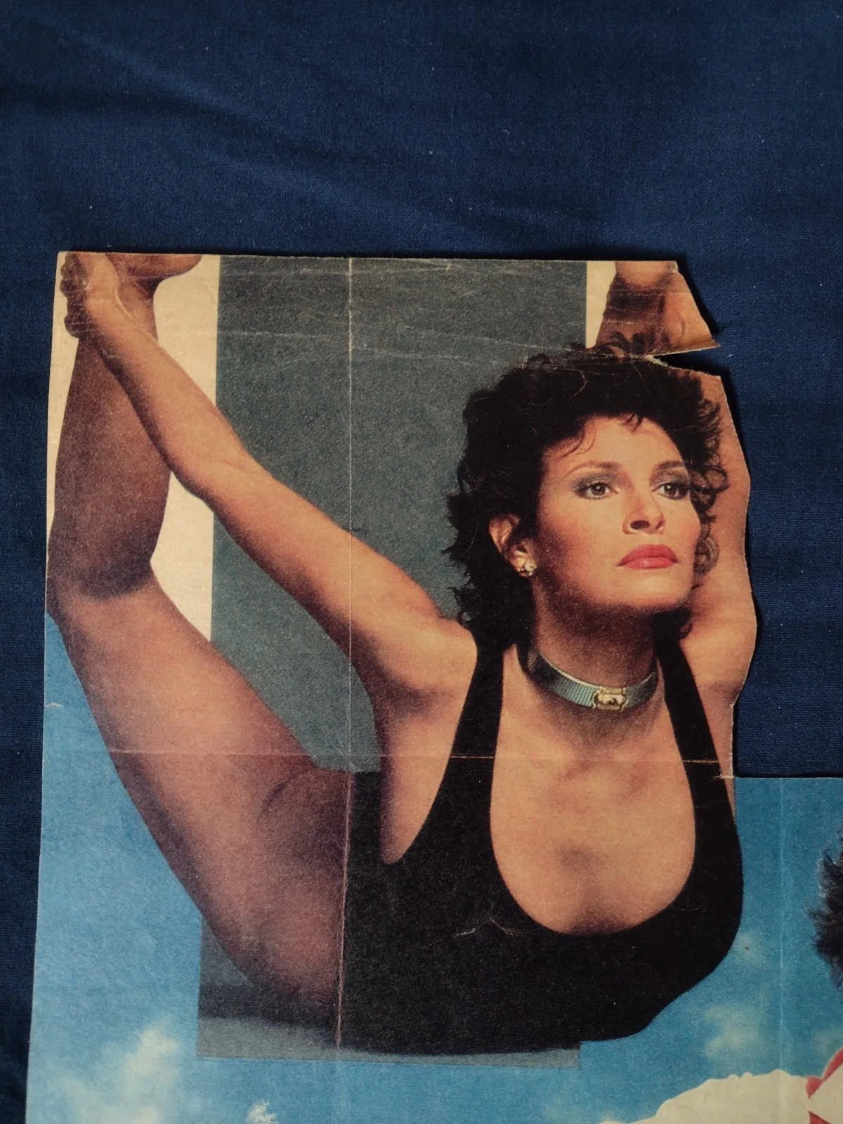 Autographed Raquel Welch Magazine Page Actress Signed, image 4