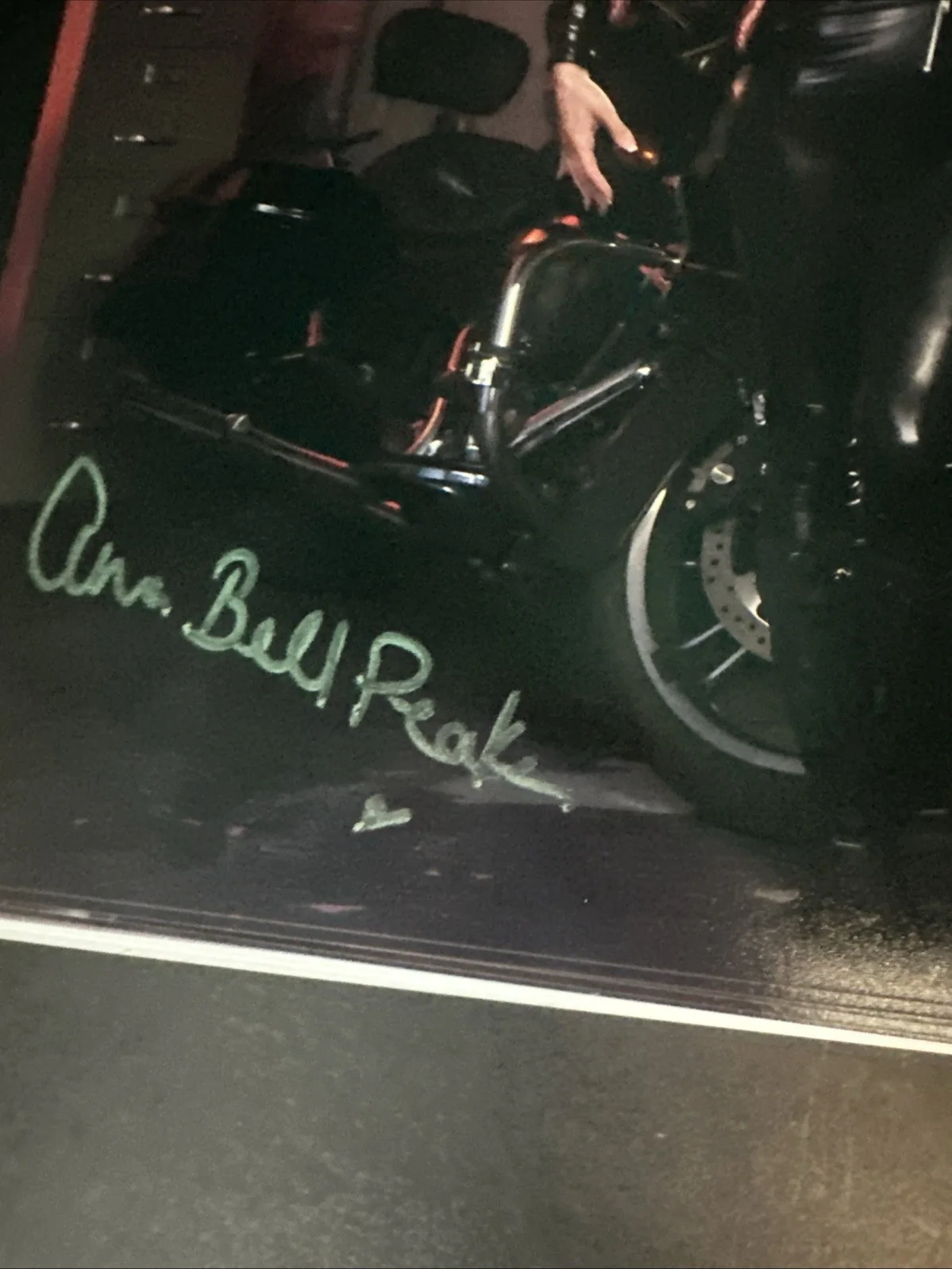 Anna Bell Peaks Autographed 8x10 Photo With Felicity Feline Hot Photo, изображение 3