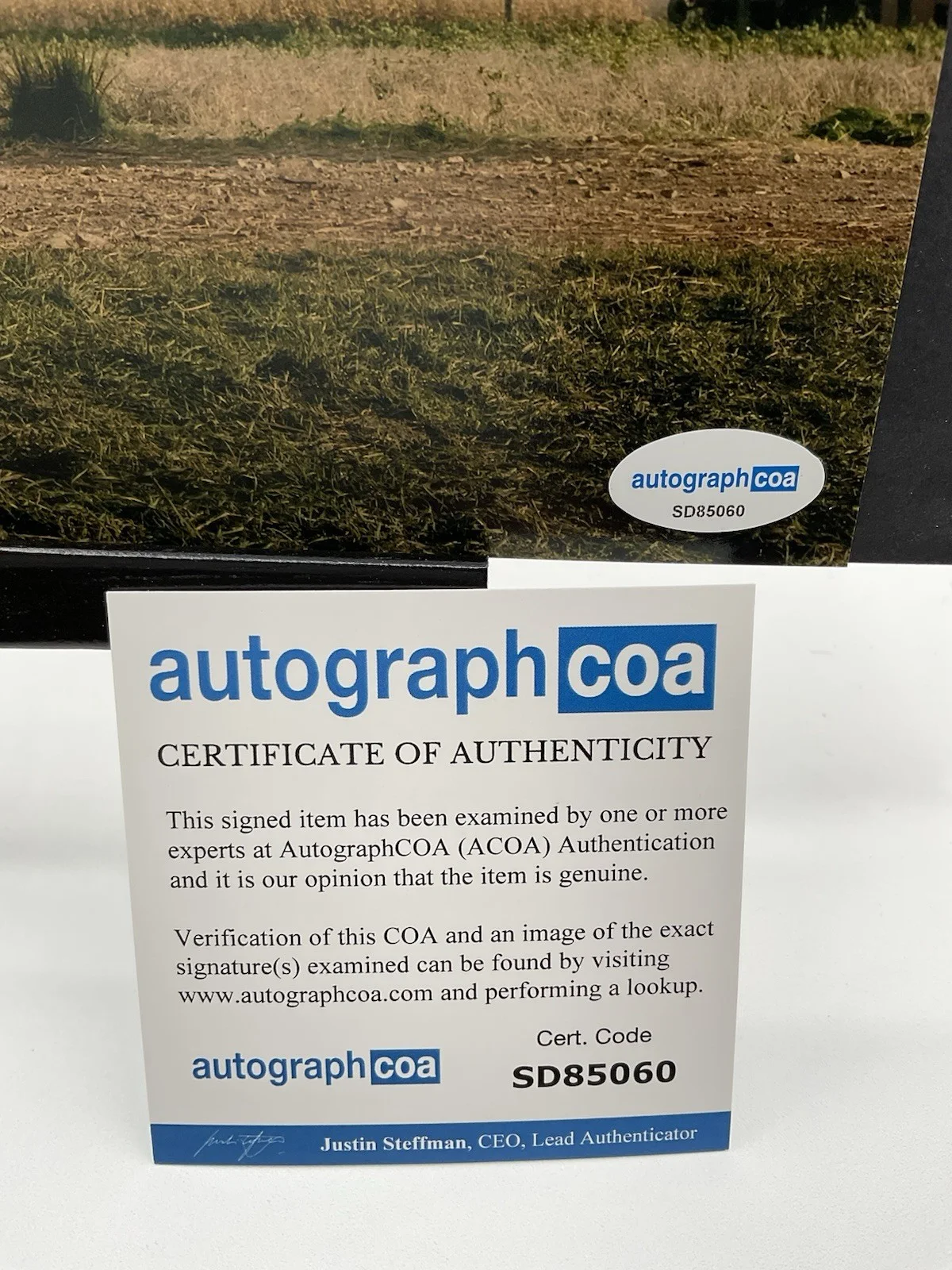 Tyler Hoechlin — Tyler Hoechlin signed 8x10 Superman signed 8x10 ACOA Superman autographed photo, image 3