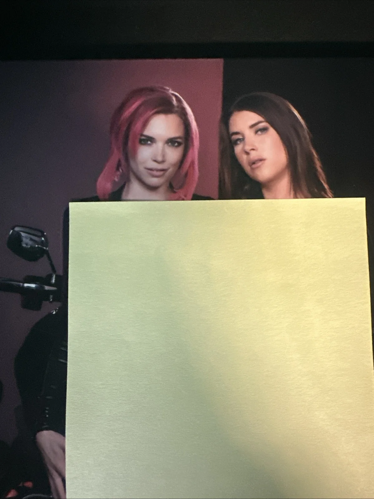Anna Bell Peaks Model 8x10 Autographed Photo with Felicity Feline, image 2