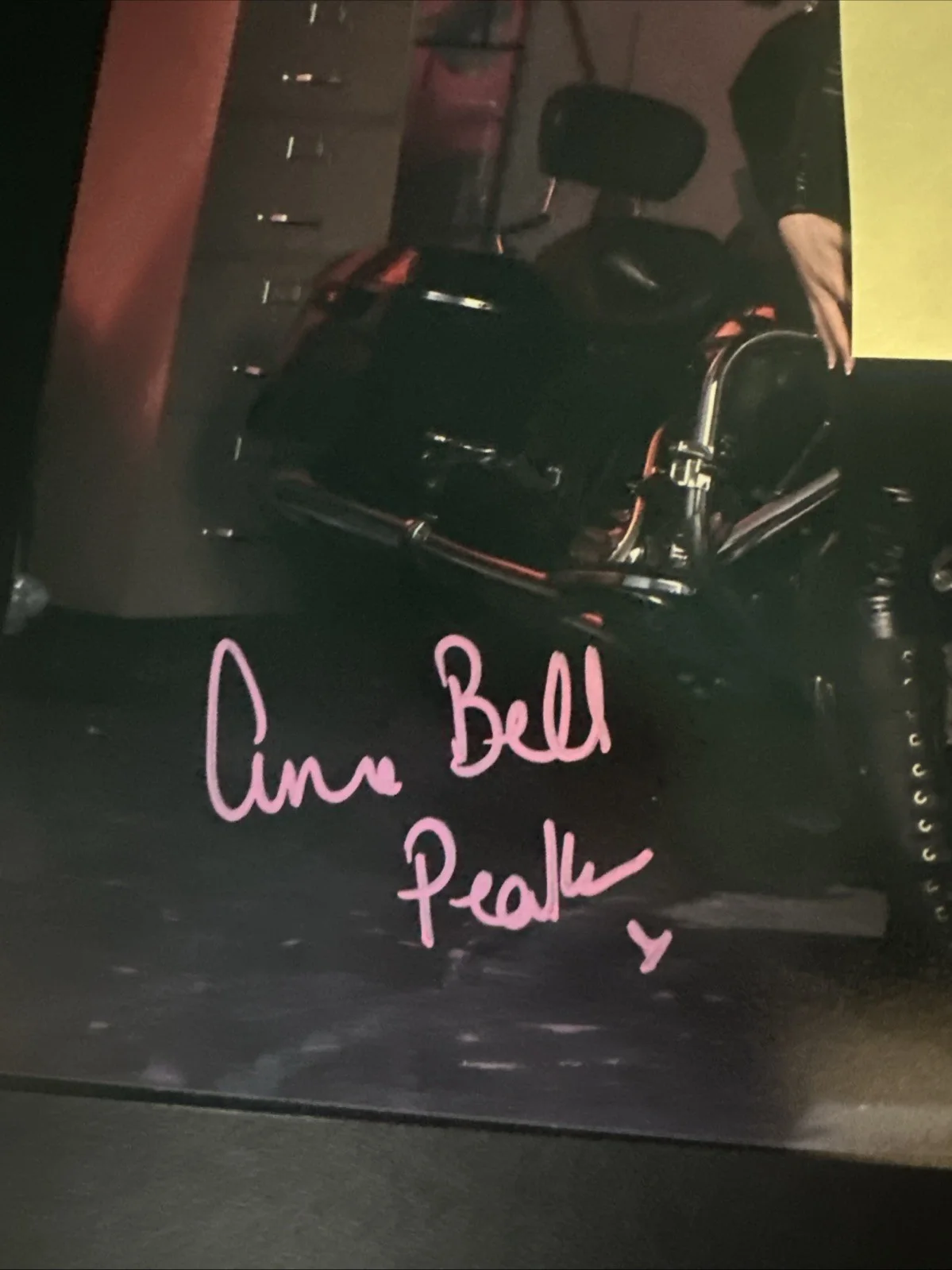 Anna Bell Peaks Model 8x10 Autographed Photo with Felicity Feline, image 3