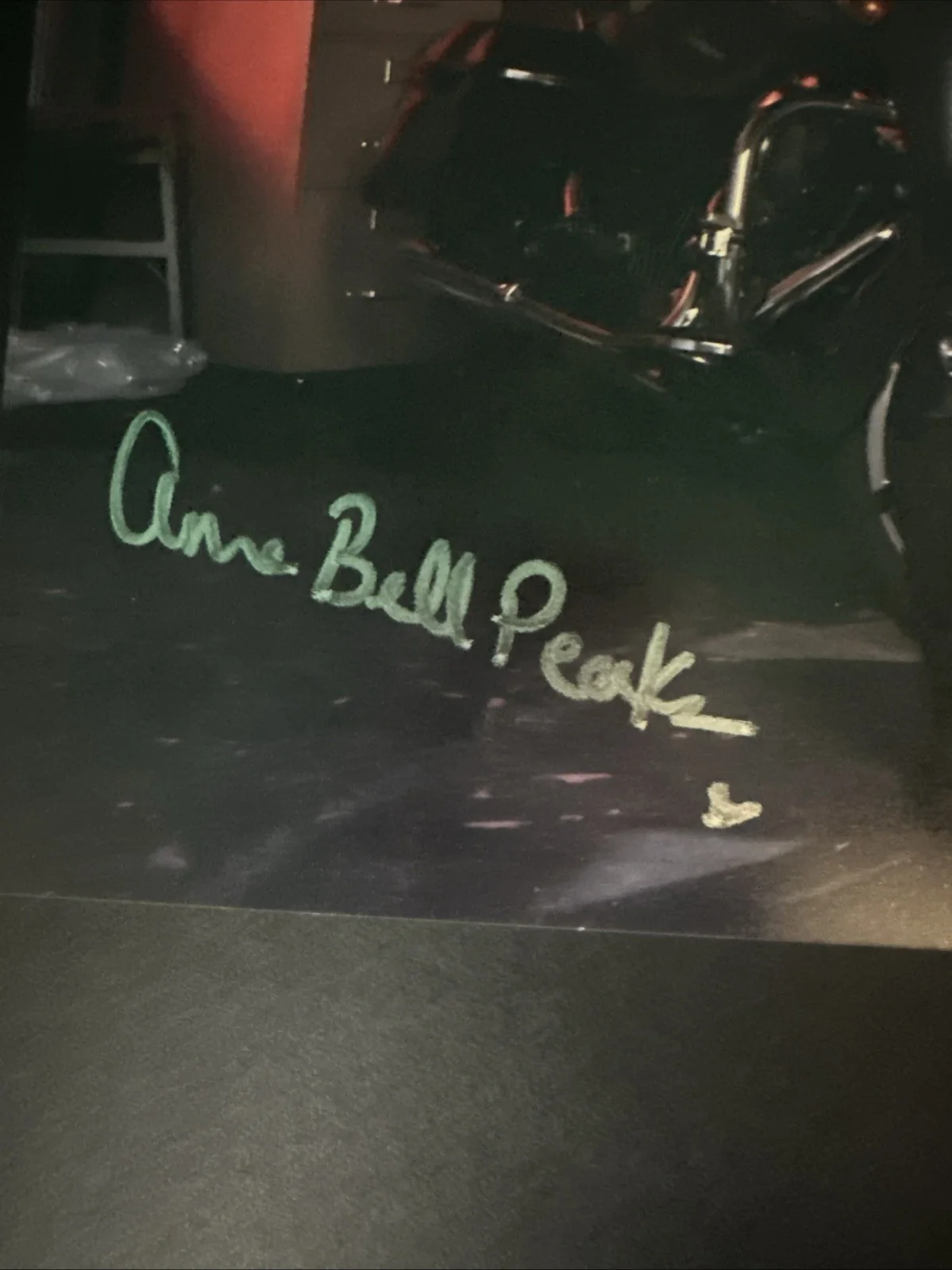 Anna Bell Peaks Autographed 8x10 Photo Adult Actress With Felicity Feline, изображение 3