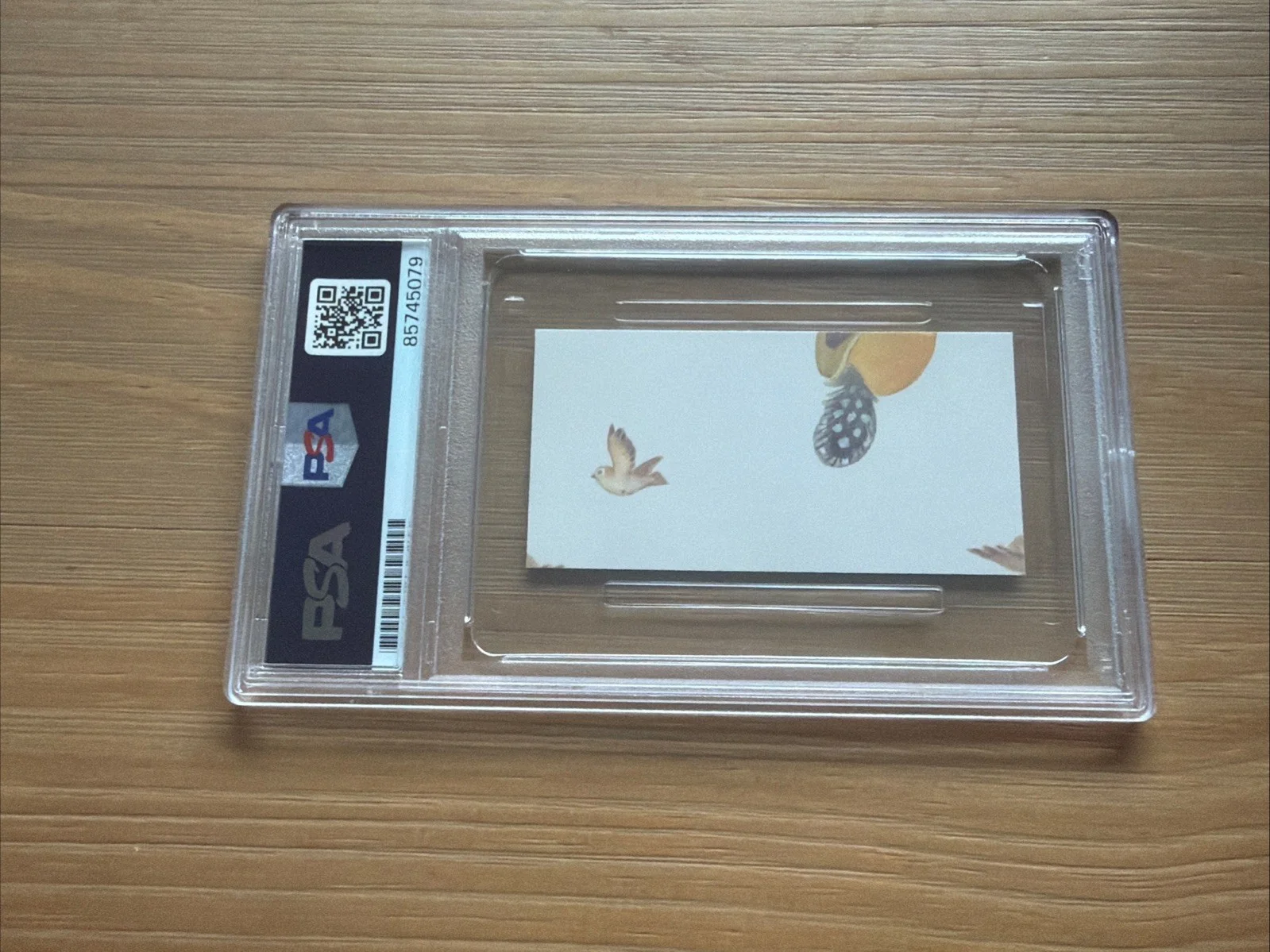 Natalie Portman — Natalie Portman Autograph Auto Signed Cut PSA/DNA Slabbed Star Wars Actress, изображение 2