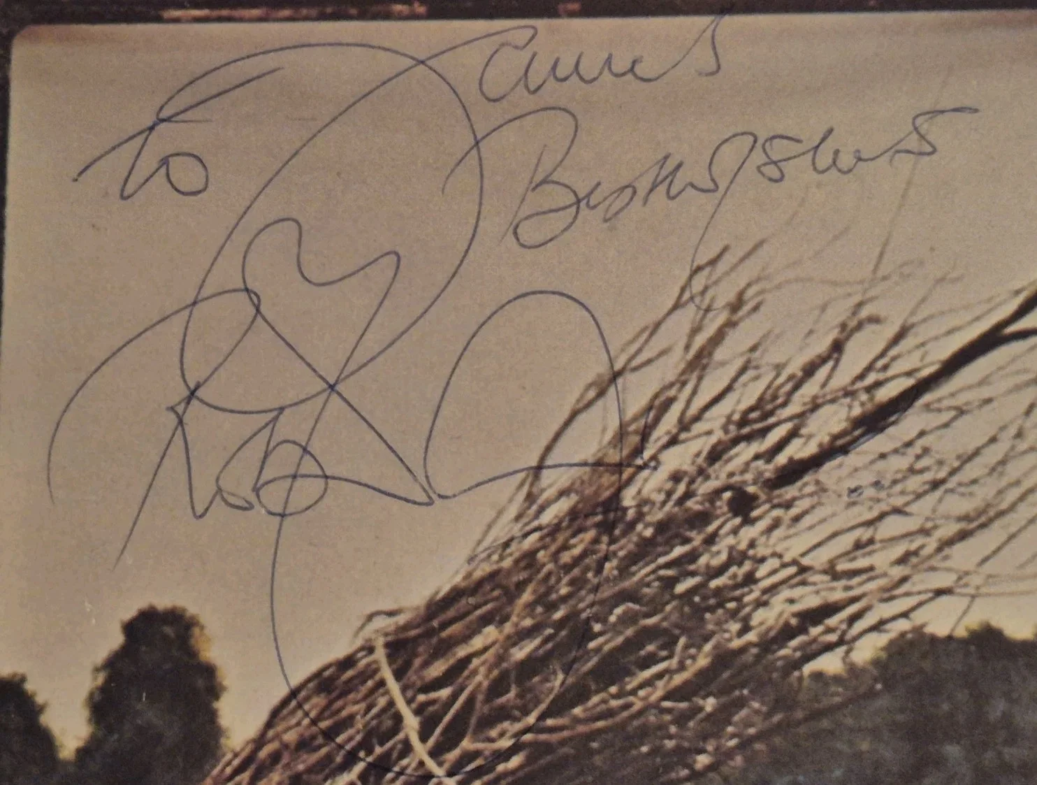 Led Zeppelin Signed Autographed Lp Robert Plant Vintage Black Dog, image 2