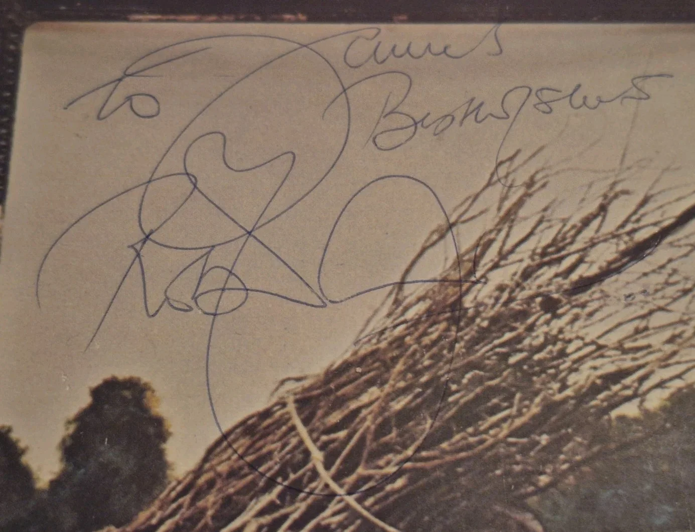 Led Zeppelin Signed Autographed Lp Robert Plant Vintage Black Dog, image 4