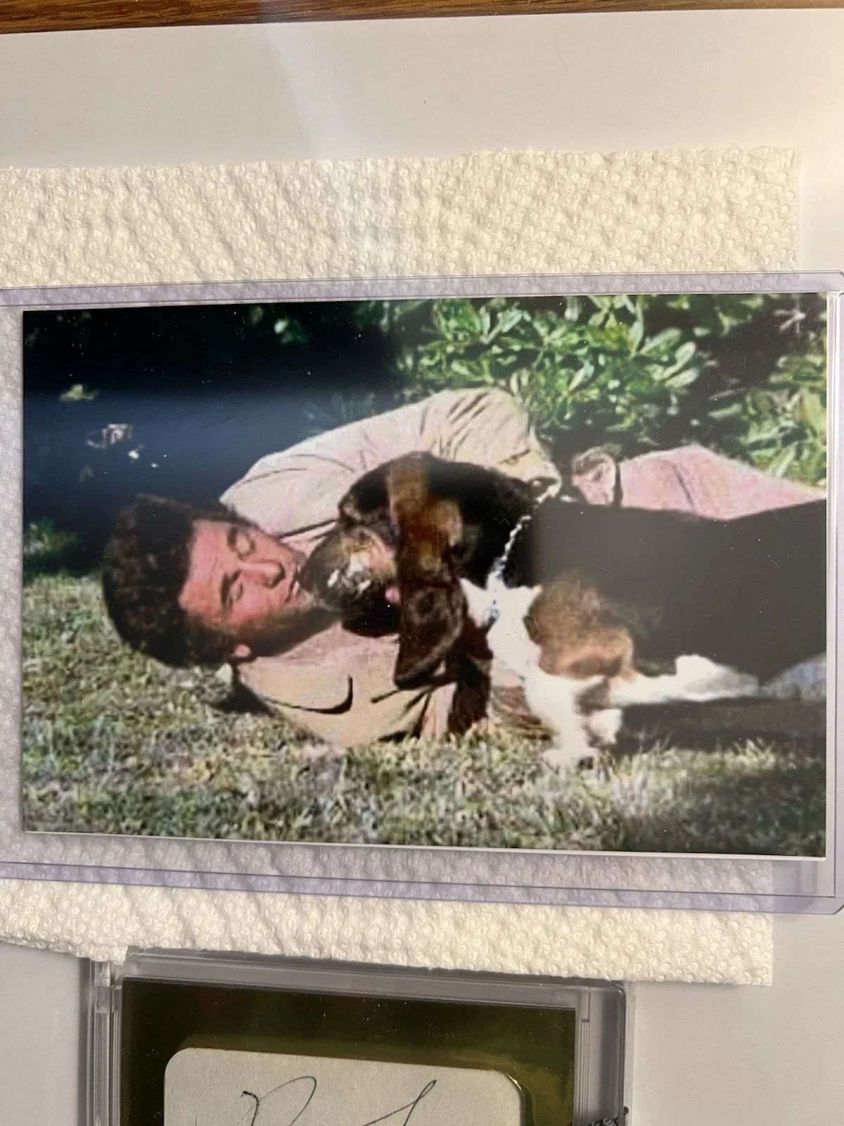 PETER FALK PSA/DNA CERTIFIED SIGNED CUT PIECES LTD. EDT. #1/1 CARD & PHOTOS, изображение 5