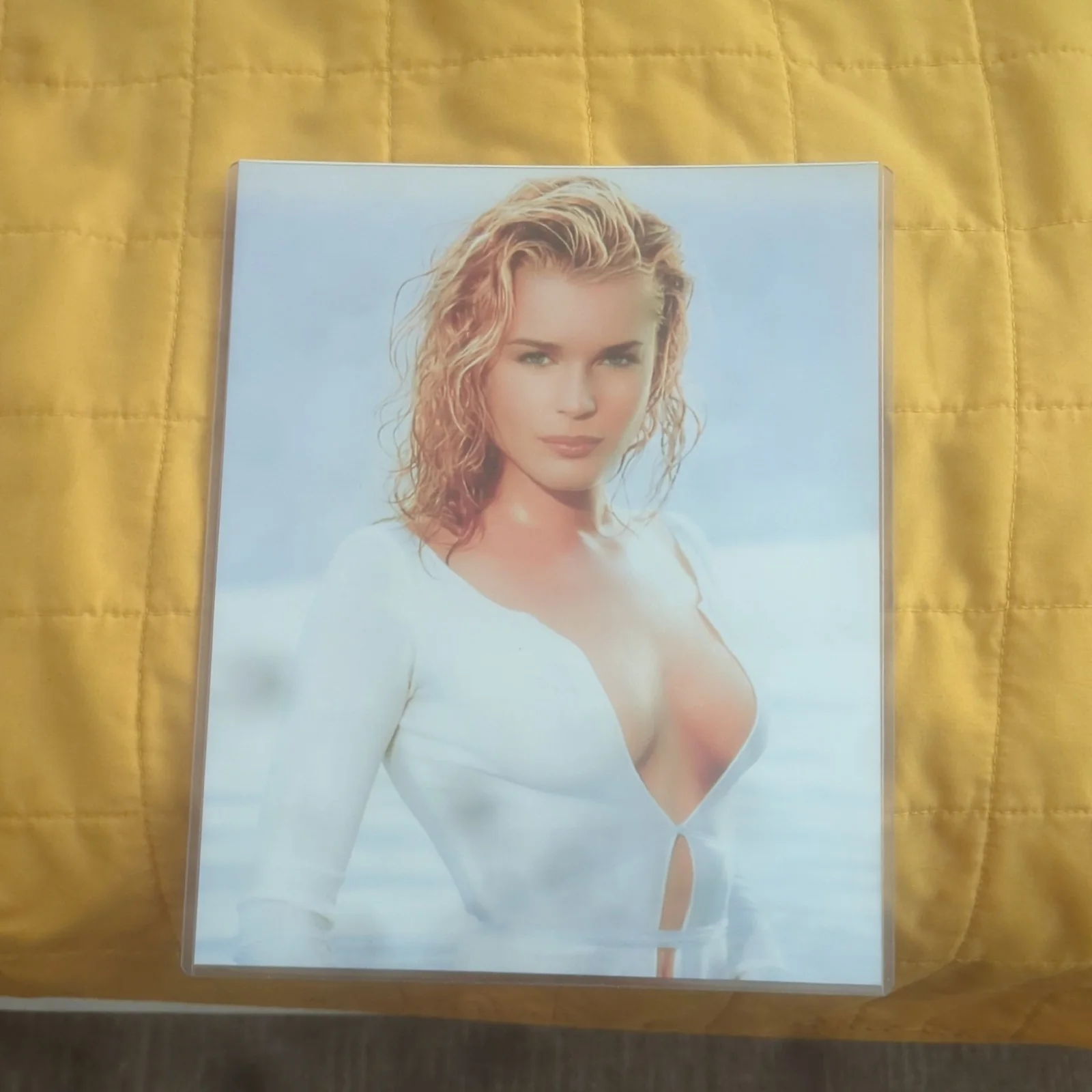 Rebecca Romijn — Sexy Photo of Rebecca Romijn, изображение 2
