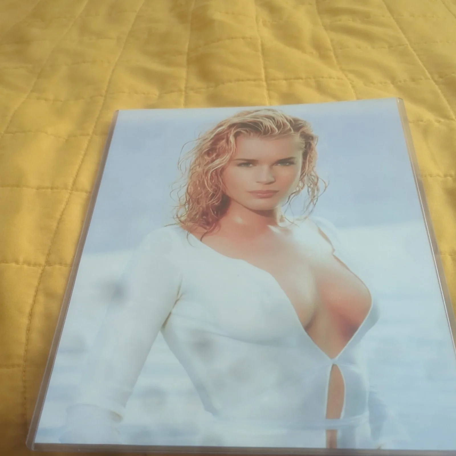 Rebecca Romijn — Sexy Photo of Rebecca Romijn, изображение 4