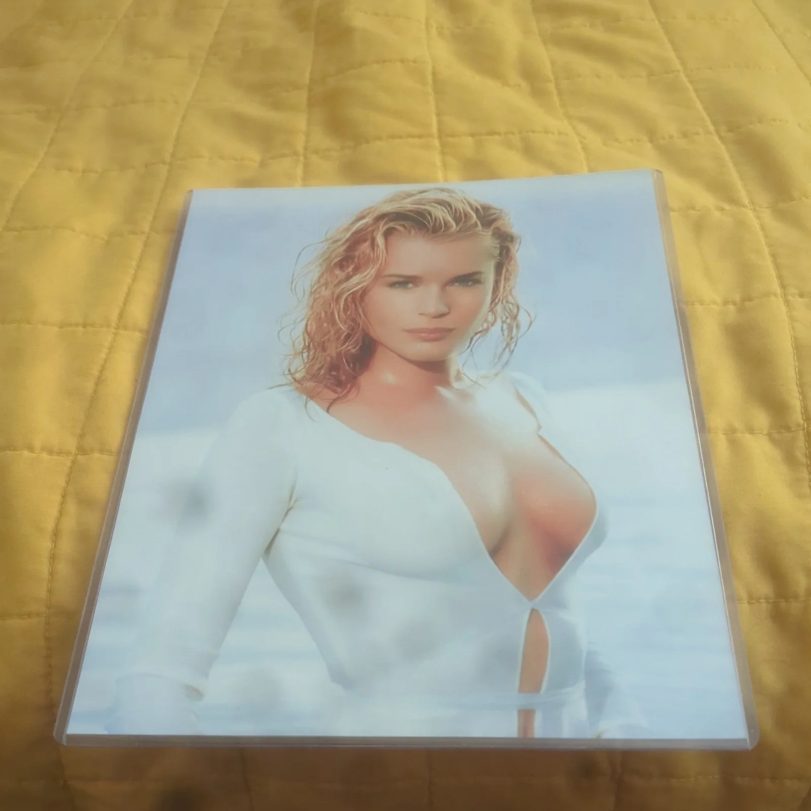 Rebecca Romijn — Sexy Photo of Rebecca Romijn, изображение 5
