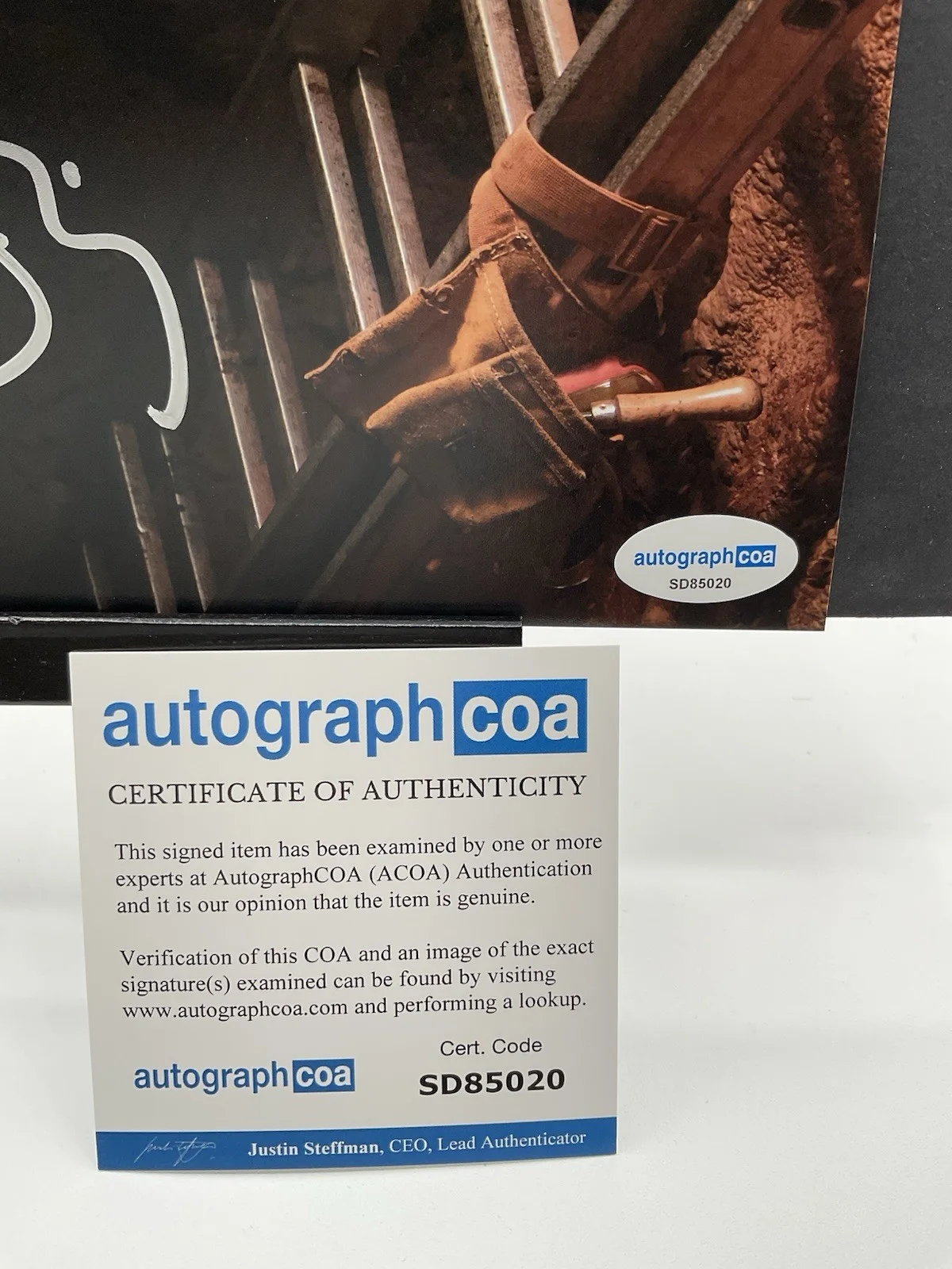 Jesse Eisenberg — Jesse Eisenberg signed 8x10 Vivarium Signed 8x10 ACOA Eisenberg autographed, image 3