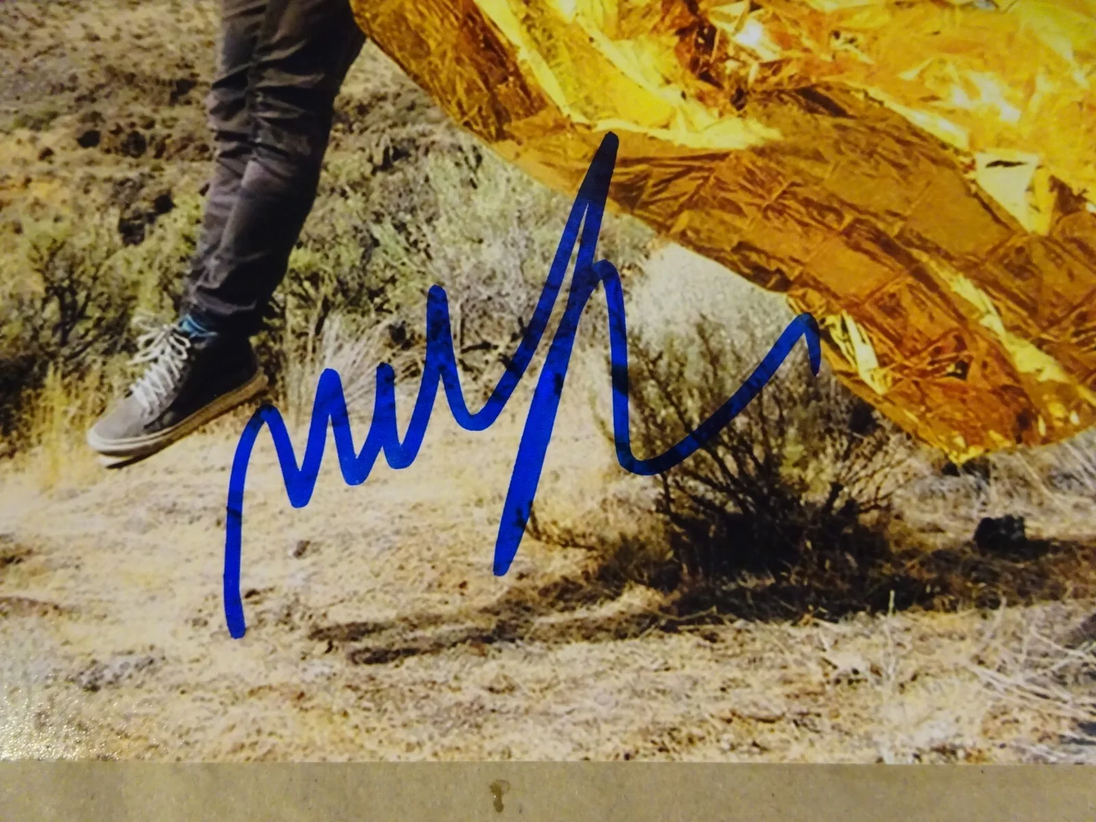 Autographed Mike Gordon Phish Signed 8"x10" Photo Beckett BAS COA, image 3