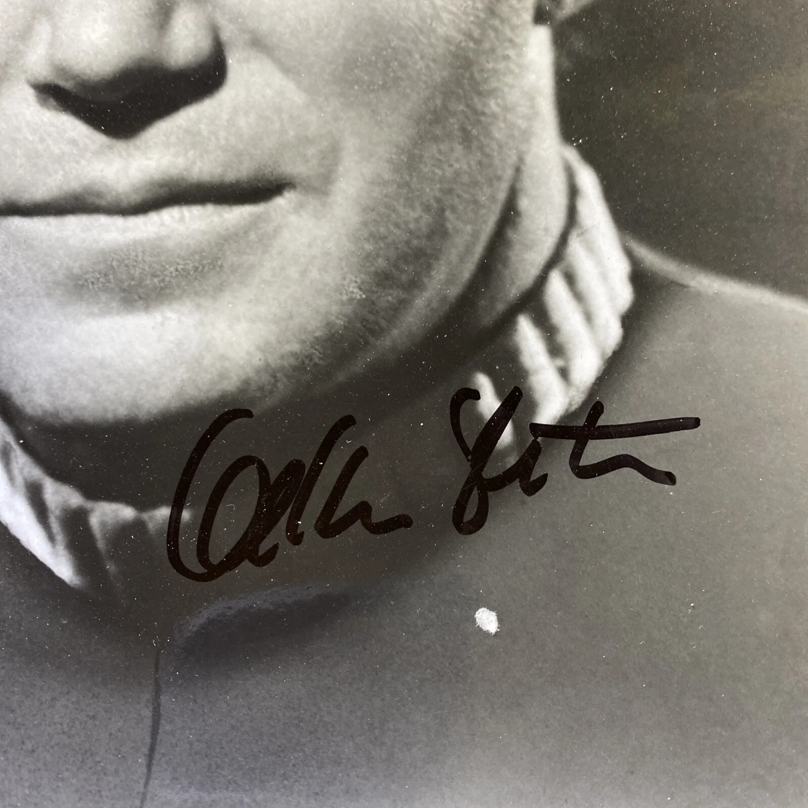 vintage autographed 8 x 10 photo William Shatner Star Trek, image 2