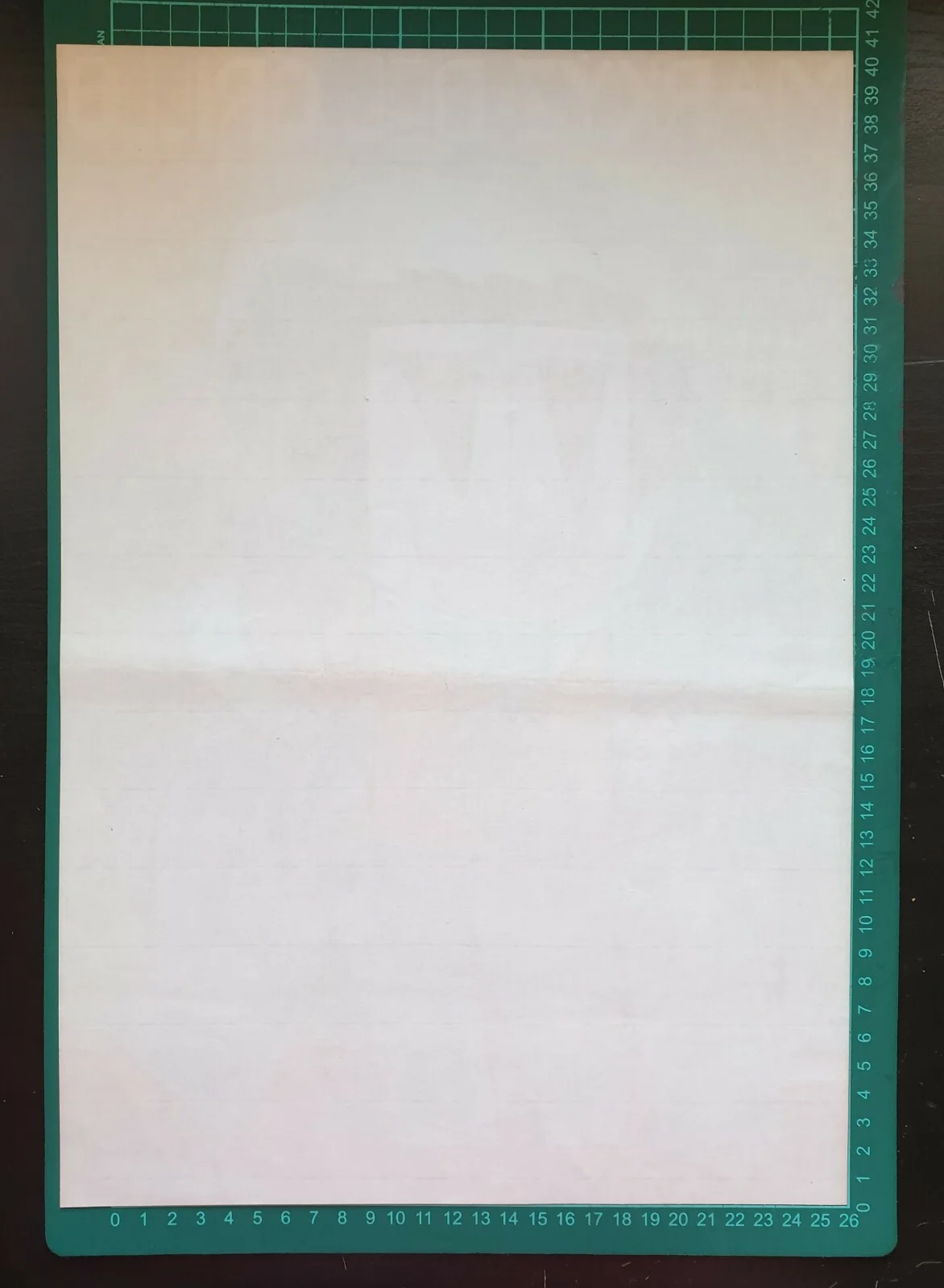 IL MARCHESE DEL GRILLO, MARIO MONICELLI, ORIGINAL CZECH MOVIE POSTER, KAREL VACA, image 2