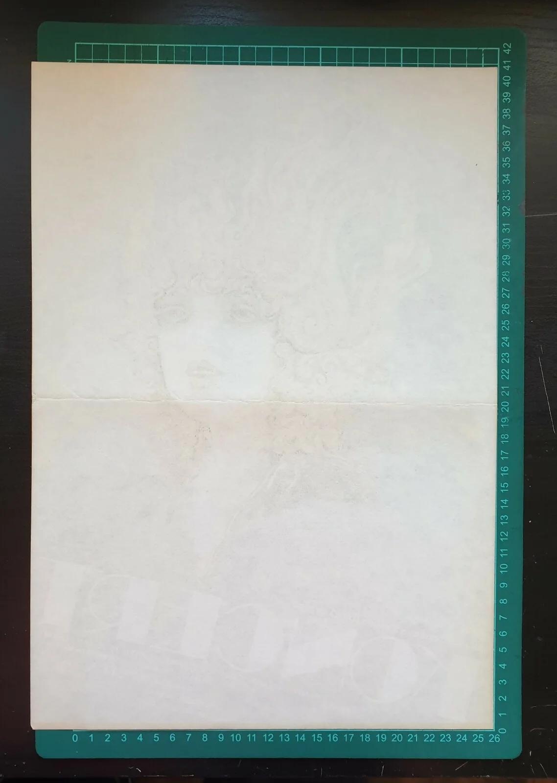 KONCERT / CONCERT, PETRA JANU, ORIGINAL CZECH MOVIE POSTER BY VRATISLAV HLAVATY, изображение 2