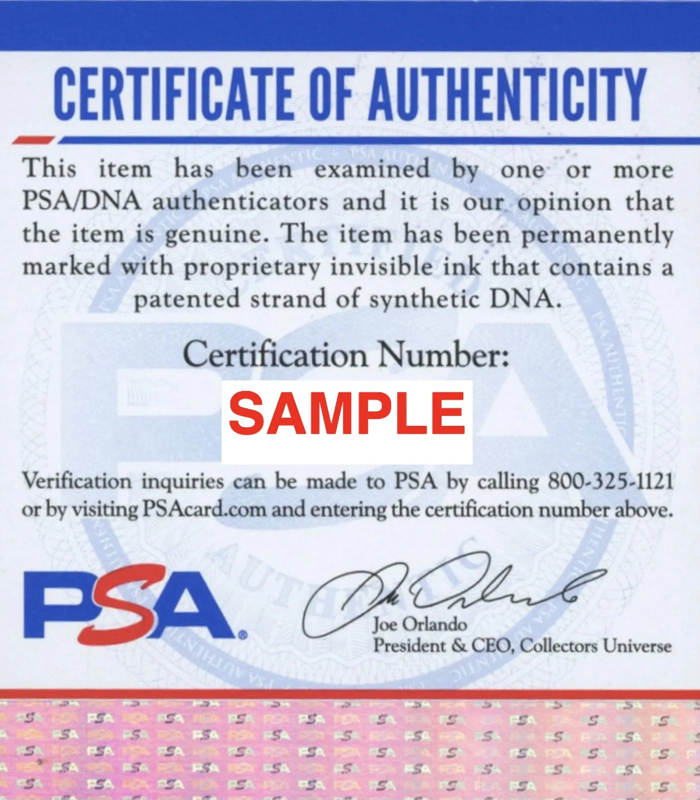 Lil Poppa Signed Autographed 8x8 Photo "Evergreen Wildchild" PSA/DNA Authenticat, изображение 2
