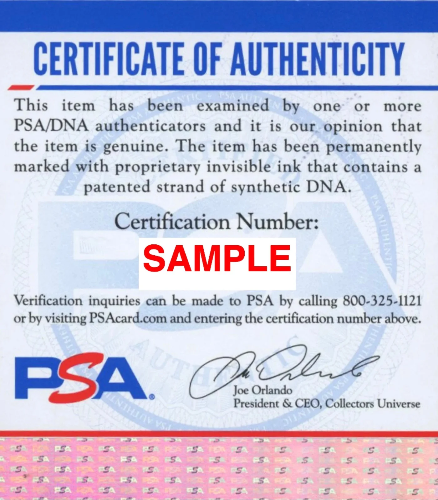 Lil Poppa Signed Autographed 8x10 Photo PSA/DNA Authenticated, image 2
