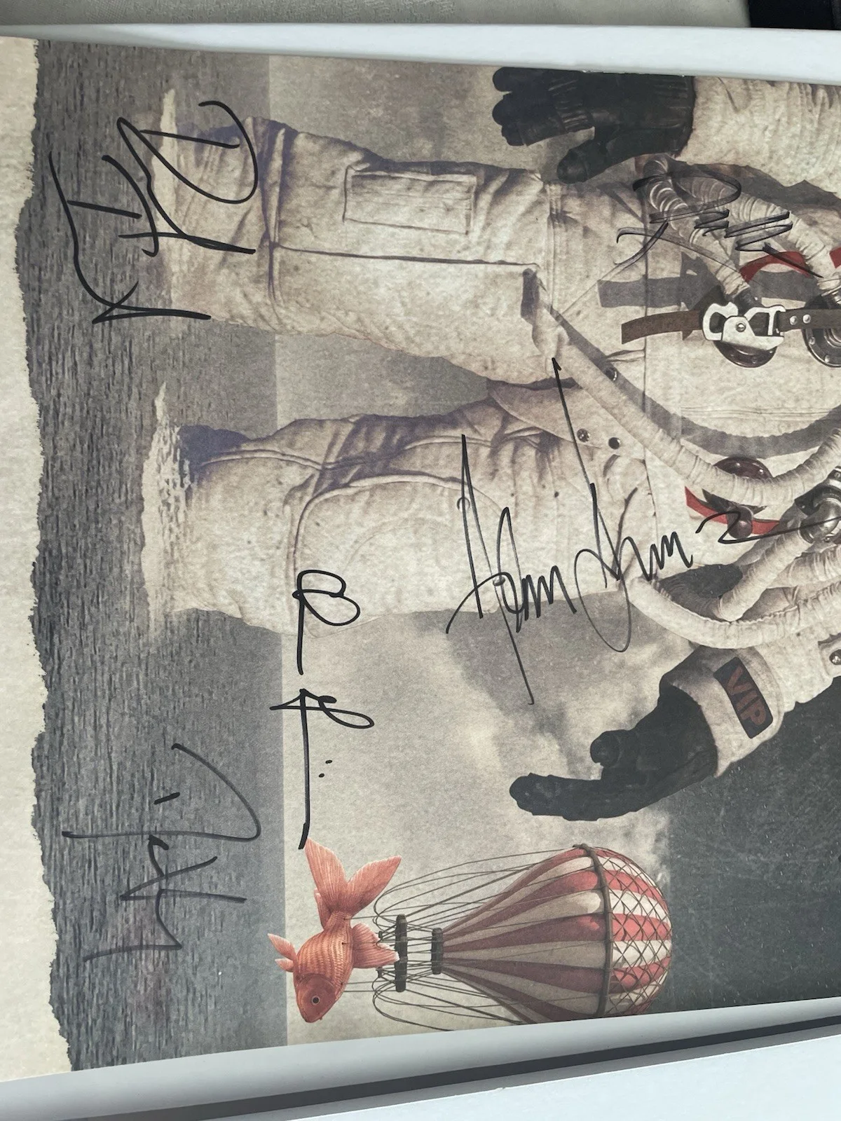 Counting Crows Banshee Season Tour 2023 Original Autographed Music Poster, изображение 3