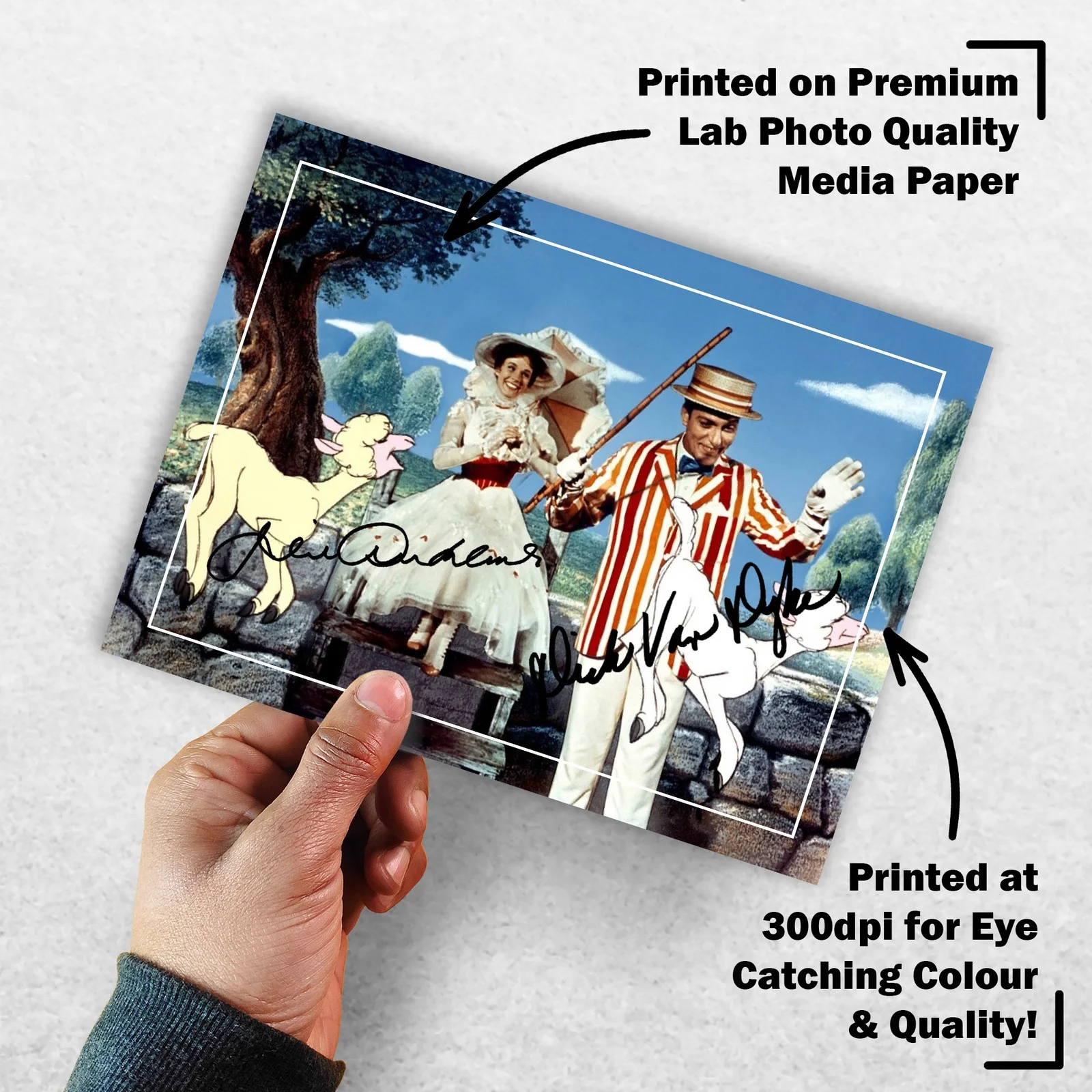 Julie Andrews Dick Van Signed Memorabilia 8x6 Pre Printed Autograph Photo, image 3