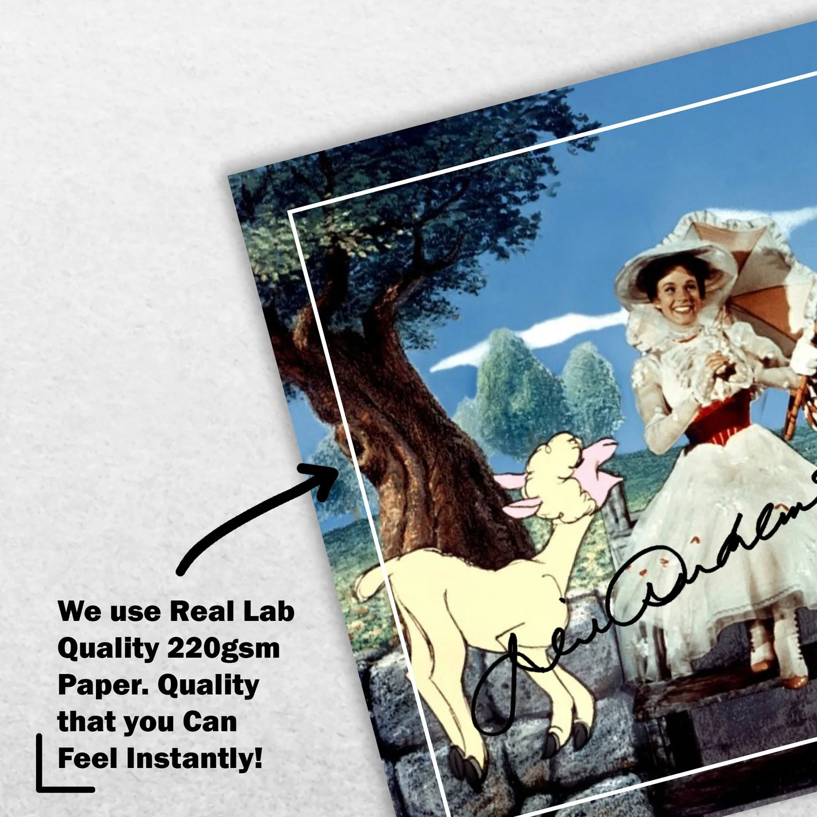 Julie Andrews Dick Van Signed Memorabilia 8x6 Pre Printed Autograph Photo, image 4