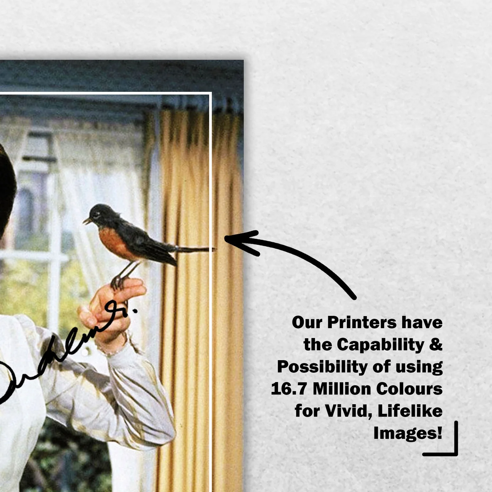 Julie Andrews Signed Memorabilia 8x6 Pre Printed Autograph Photo Memorabilia, image 5