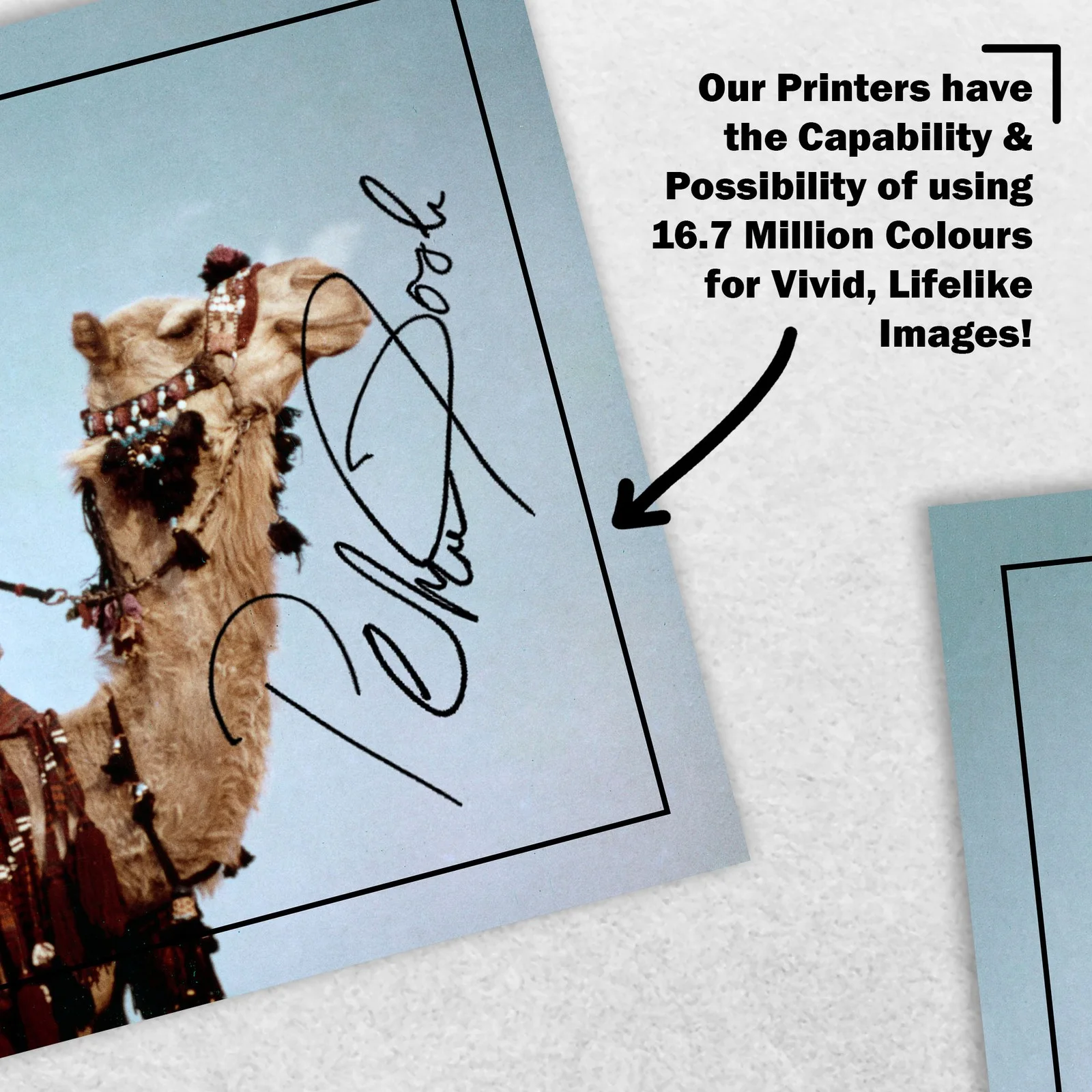 Peter O'Toole 8x6 Photo Signed Memorabilia 8x6 Pre Printed Autograph Photo, image 5