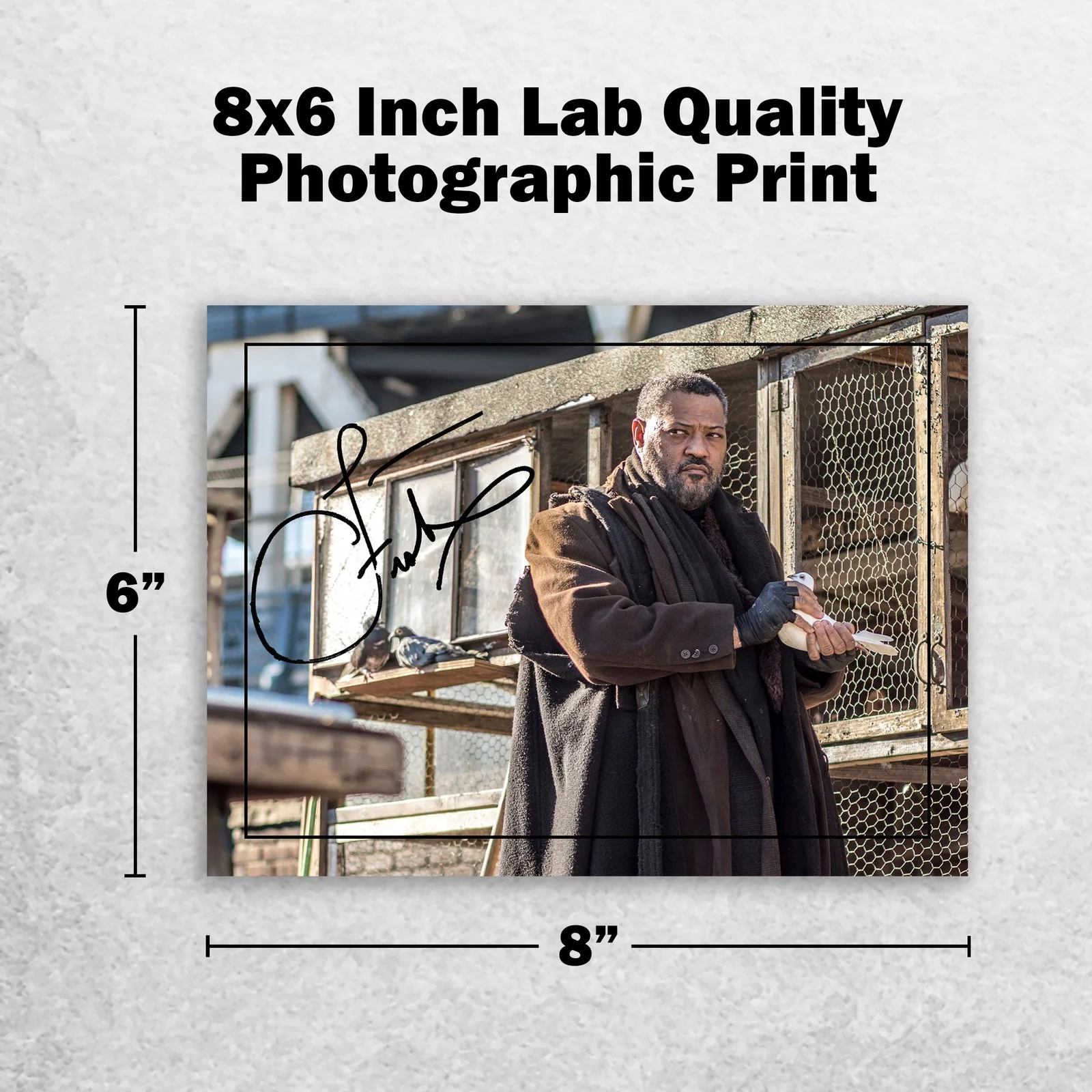 Laurence Fishburne 8x6 Photo Signed Memorabilia 8x6 Pre Printed Autograph Photo, image 2