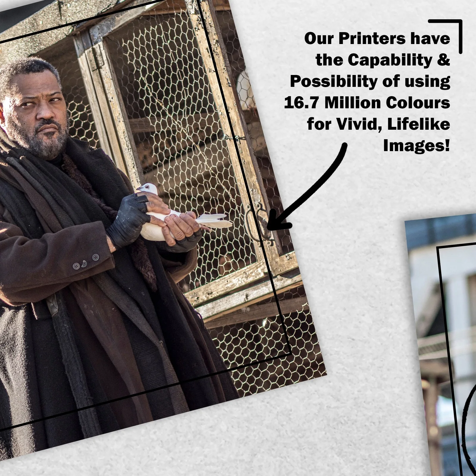 Laurence Fishburne 8x6 Photo Signed Memorabilia 8x6 Pre Printed Autograph Photo, image 5