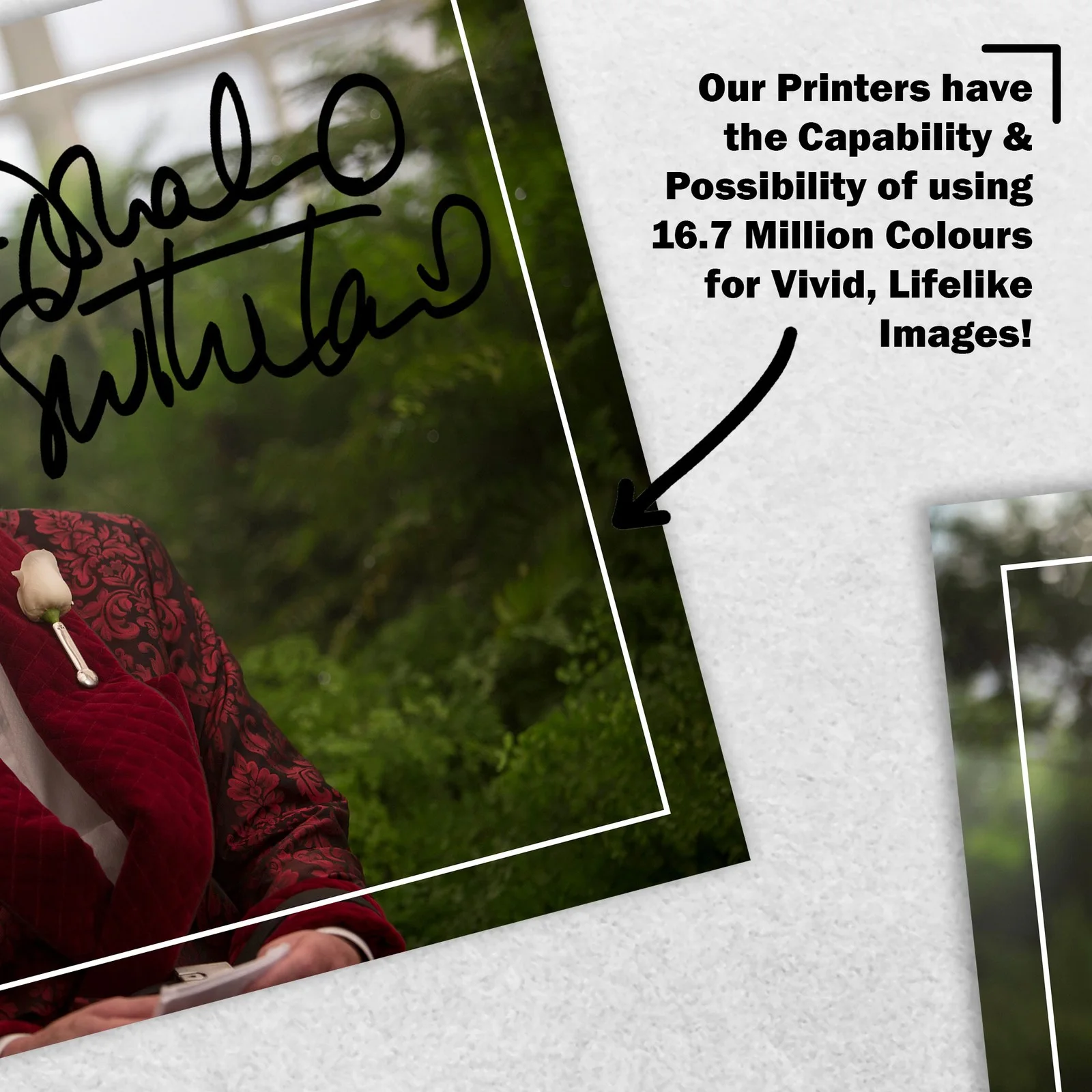 Donald Sutherland Signed Memorabilia 8x6 Pre Printed Autograph Photo Memorabilia, изображение 5