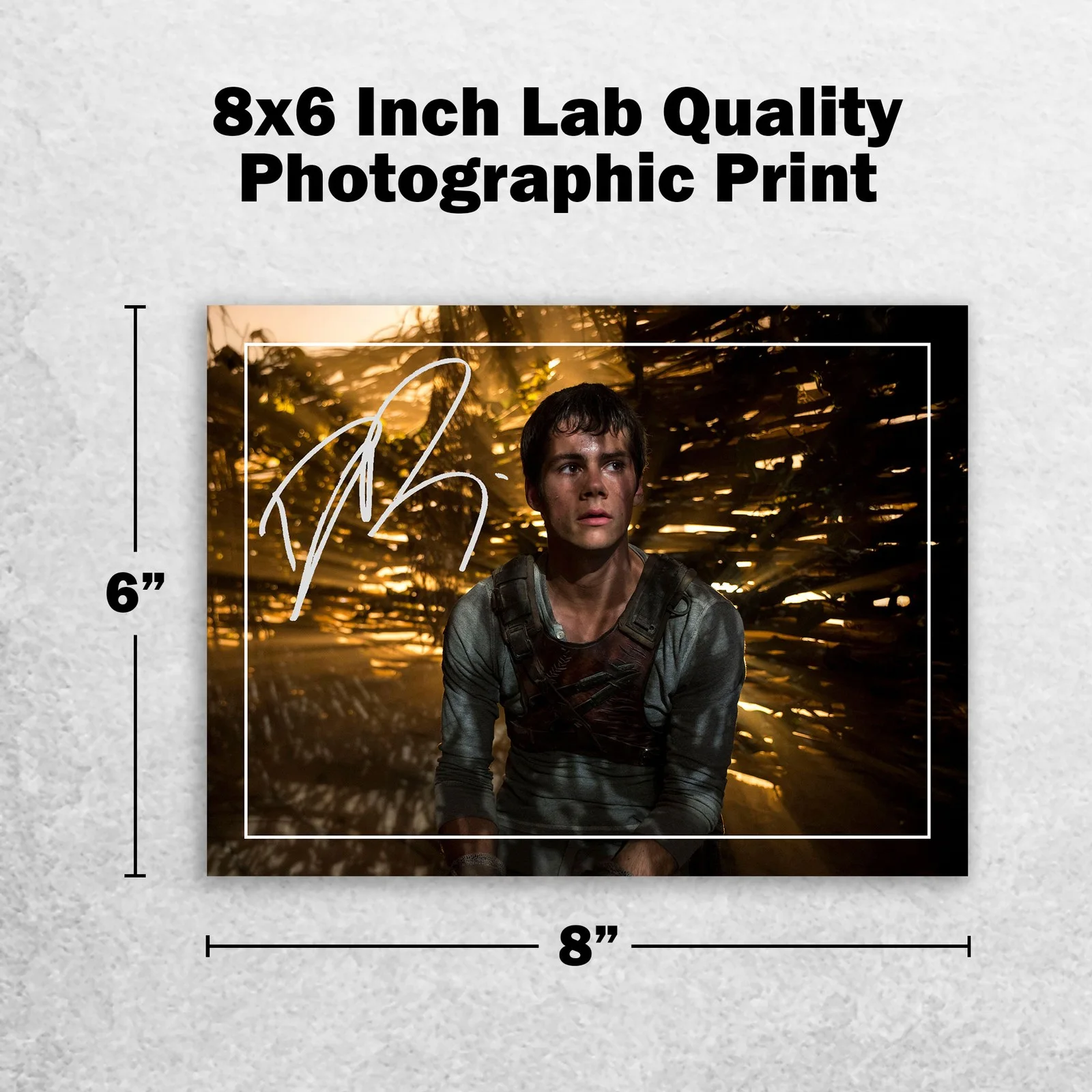 Dylan O'Brien Signed Memorabilia 8x6 Pre Printed Autograph Photo Memorabilia, изображение 2