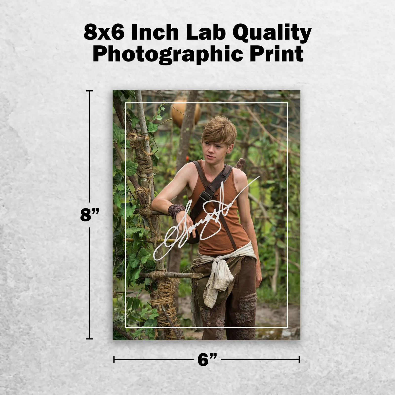 Thomas Brodie-Sangster 8x6 Pho Signed Memorabilia 8x6 Pre Printed Autograph, изображение 2