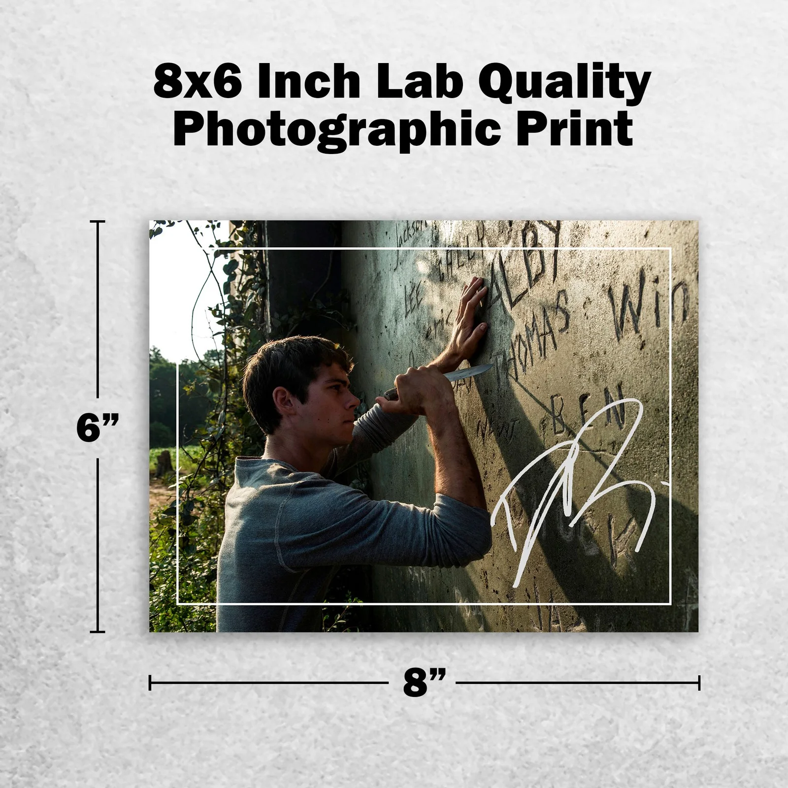 Dylan O'Brien 8x6 Photo Signed Memorabilia 8x6 Pre Printed Autograph Photo, image 2