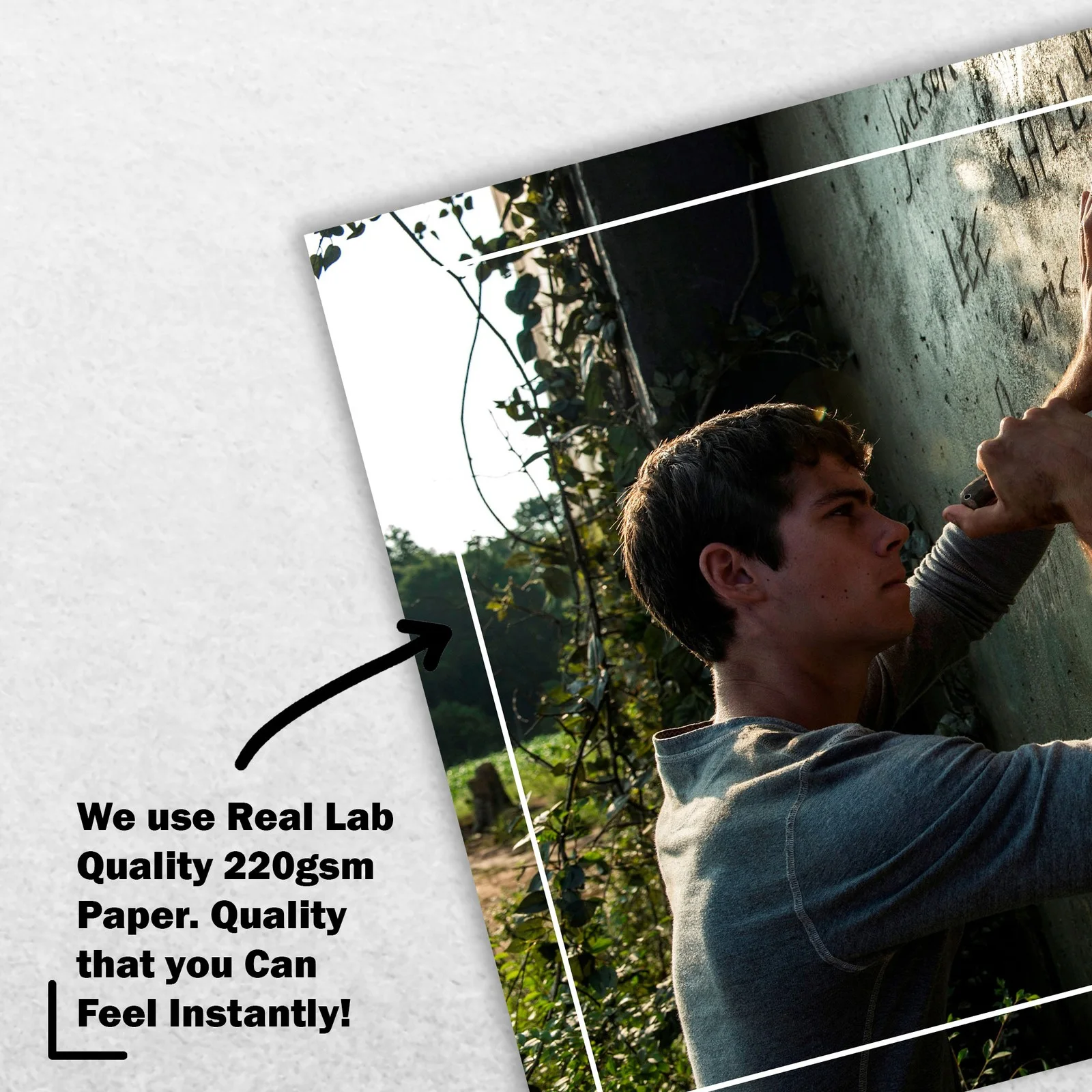 Dylan O'Brien 8x6 Photo Signed Memorabilia 8x6 Pre Printed Autograph Photo, image 4