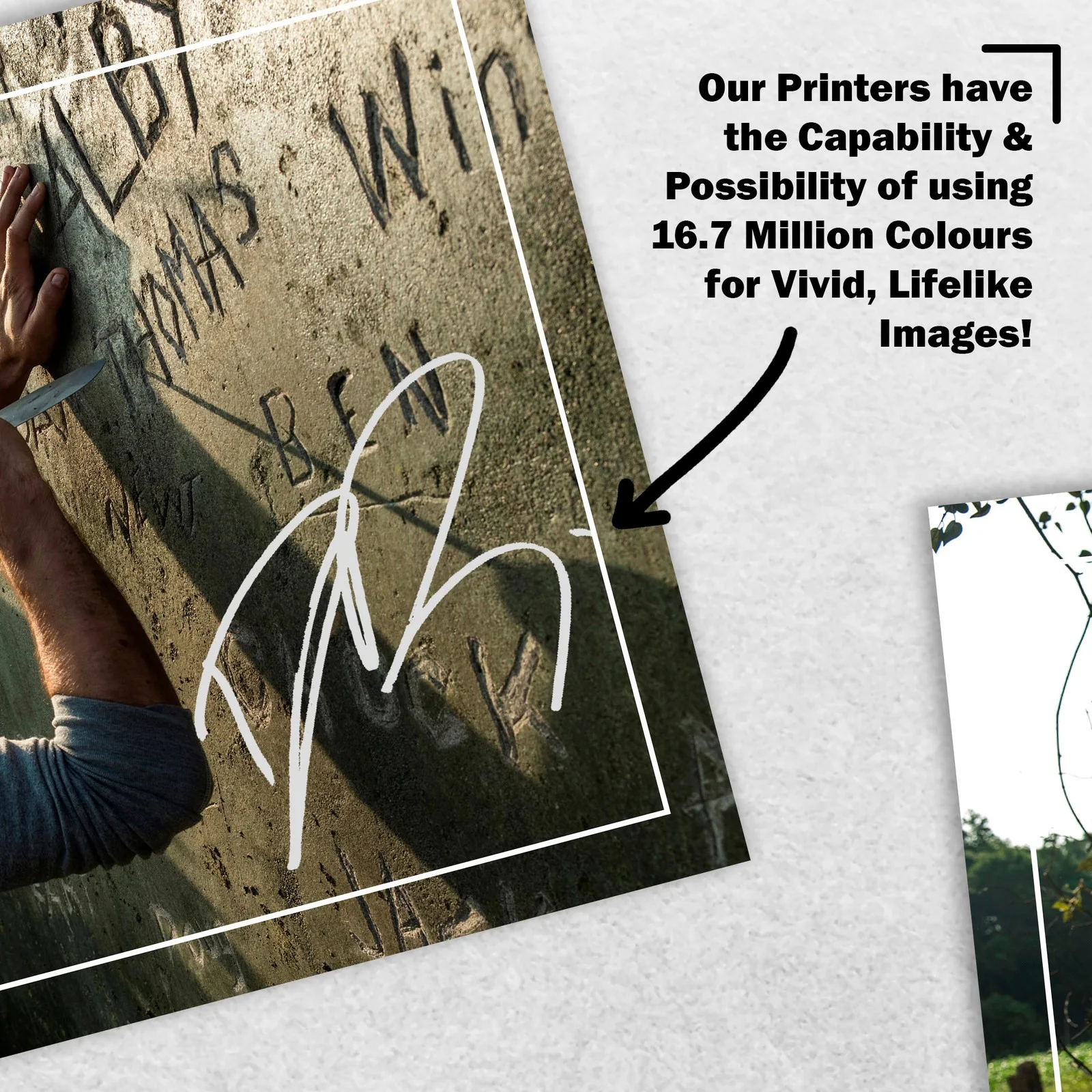 Dylan O'Brien 8x6 Photo Signed Memorabilia 8x6 Pre Printed Autograph Photo, image 5