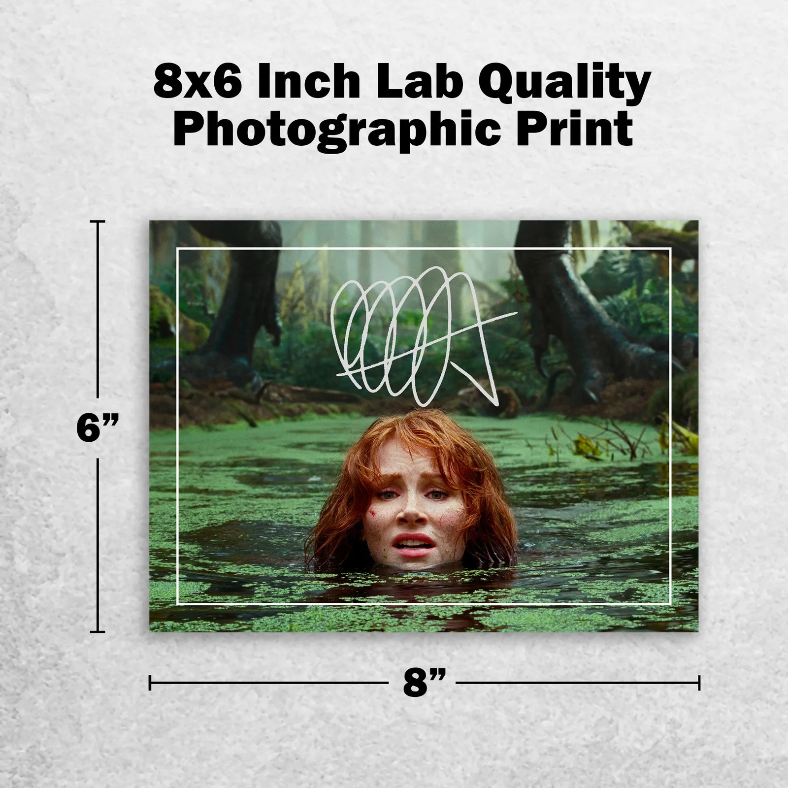 Bryce Dallas Howard 8x6 Signed Memorabilia 8x6 Pre Printed Autograph Photo, изображение 2