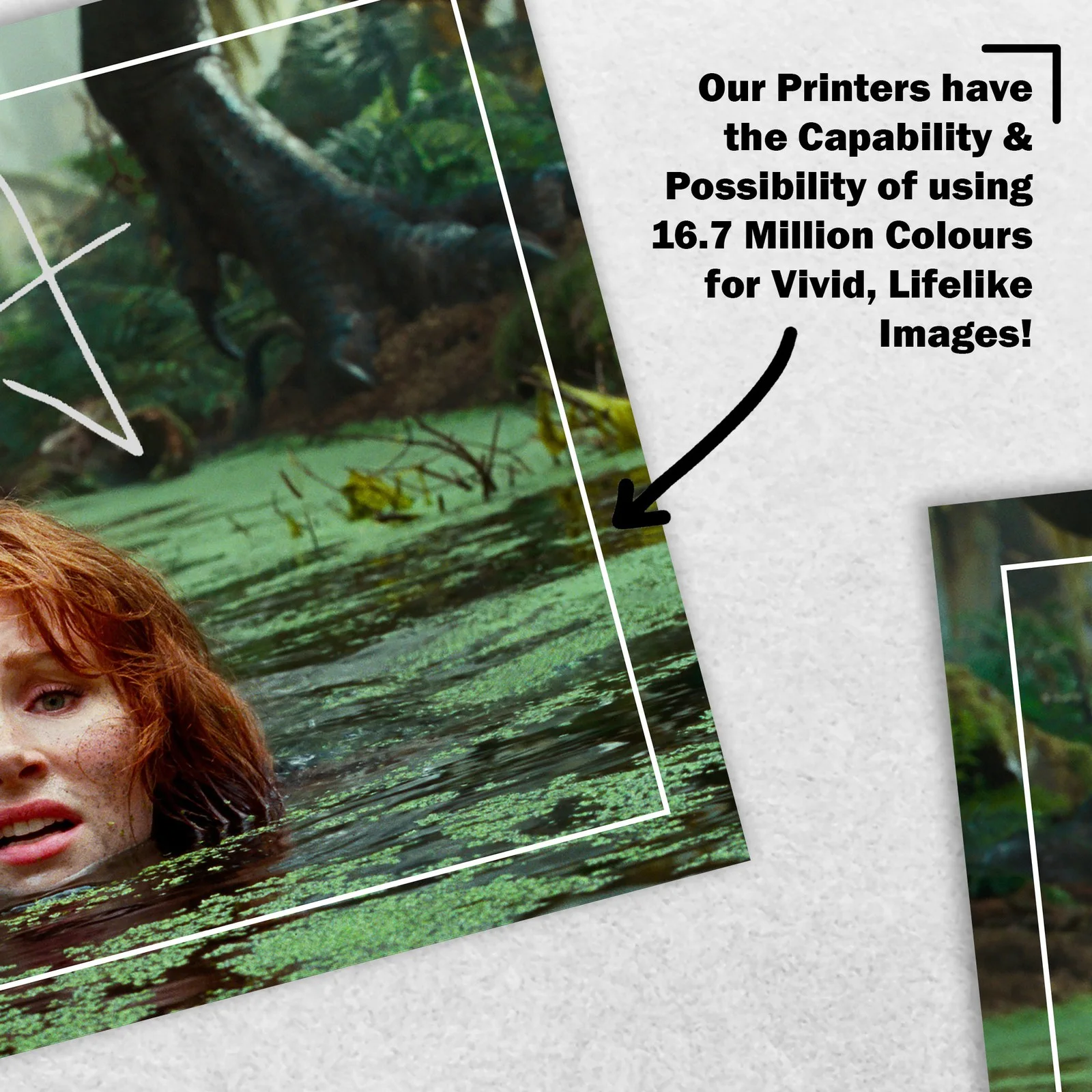Bryce Dallas Howard 8x6 Signed Memorabilia 8x6 Pre Printed Autograph Photo, изображение 5