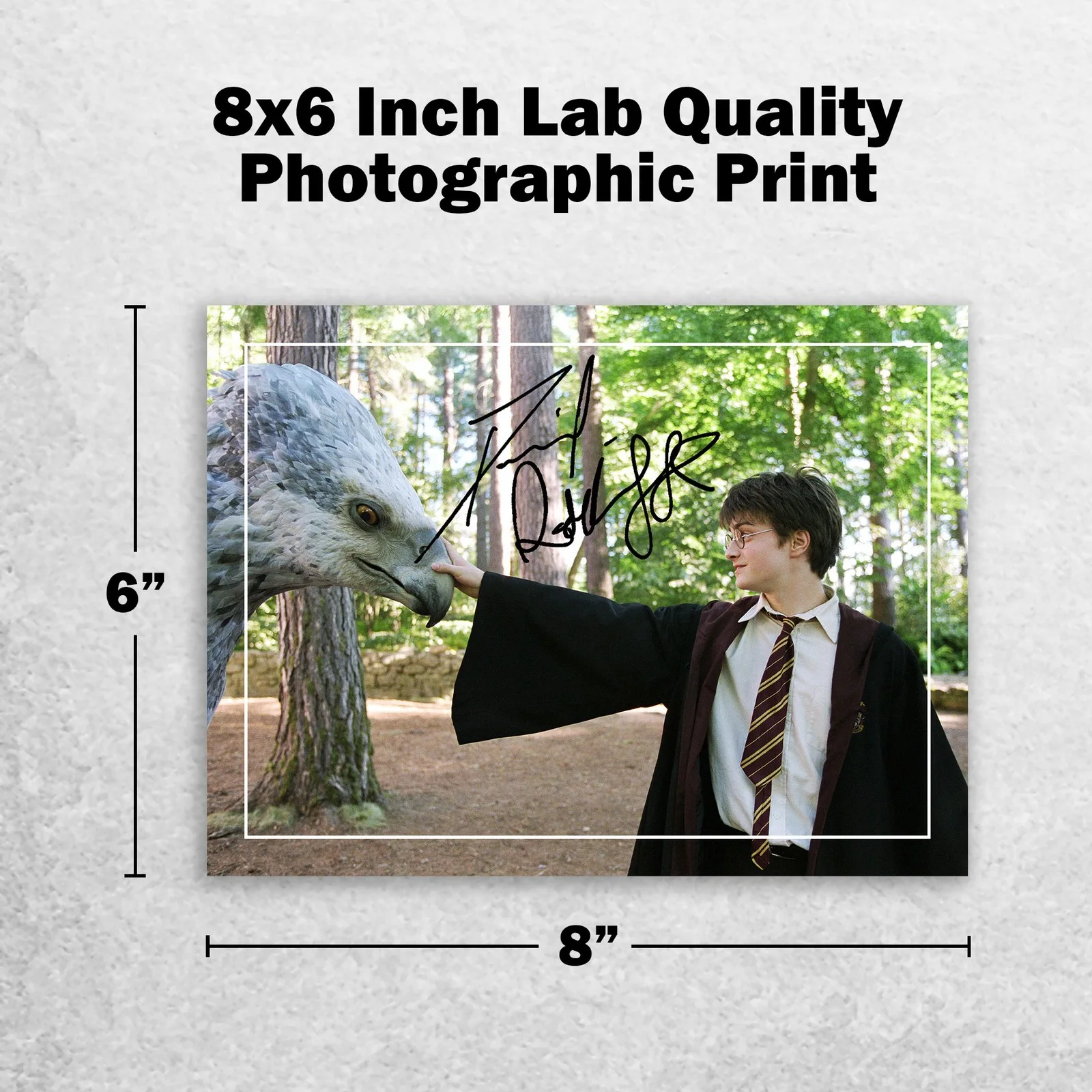 Daniel Radcliffe Signed Memorabilia 8x6 Pre Printed Autograph Photo Memorabilia, изображение 2
