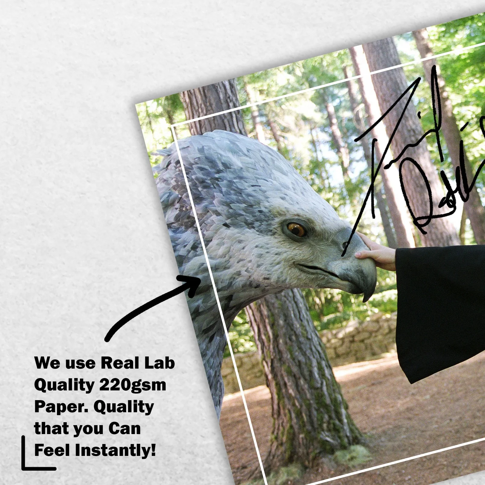 Daniel Radcliffe Signed Memorabilia 8x6 Pre Printed Autograph Photo Memorabilia, изображение 4