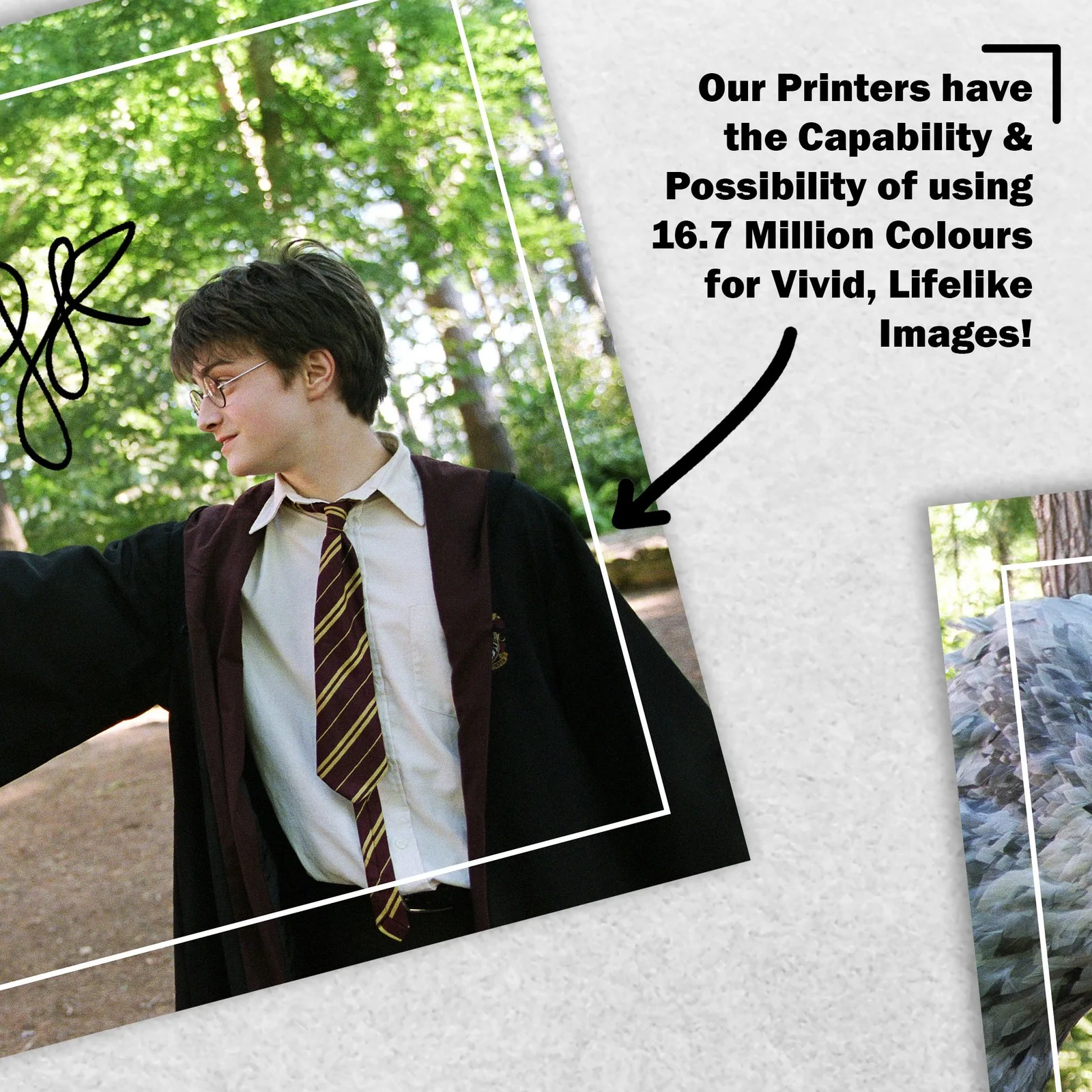Daniel Radcliffe Signed Memorabilia 8x6 Pre Printed Autograph Photo Memorabilia, изображение 5