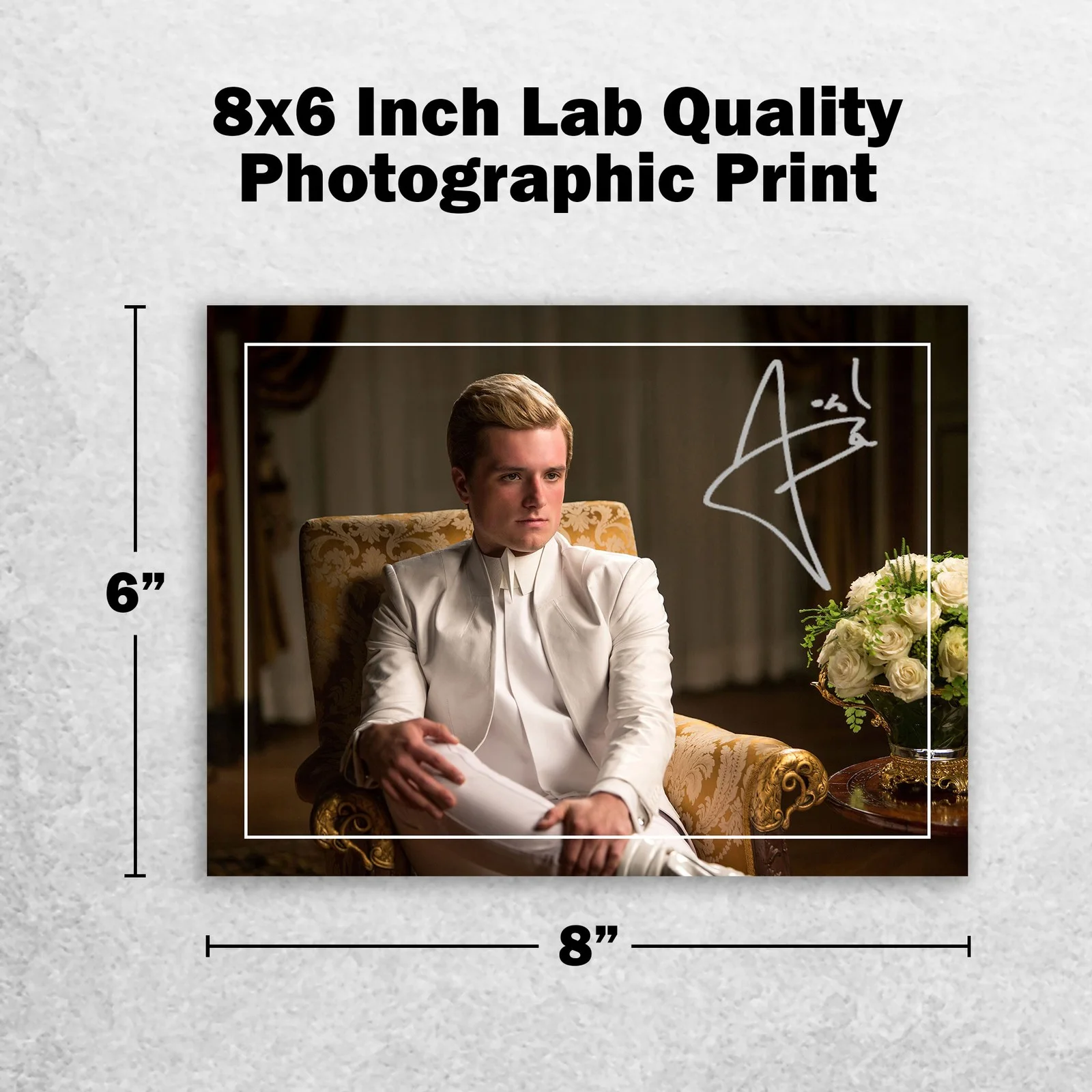 Josh Hutcherson Signed Memorabilia 8x6 Pre Printed Autograph Photo Memorabilia, изображение 2