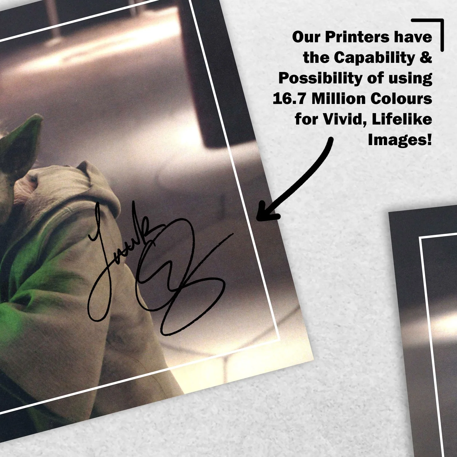 Frank Oz Signed Memorabilia 8x6 Pre Printed Autograph Photo Memorabilia, image 5