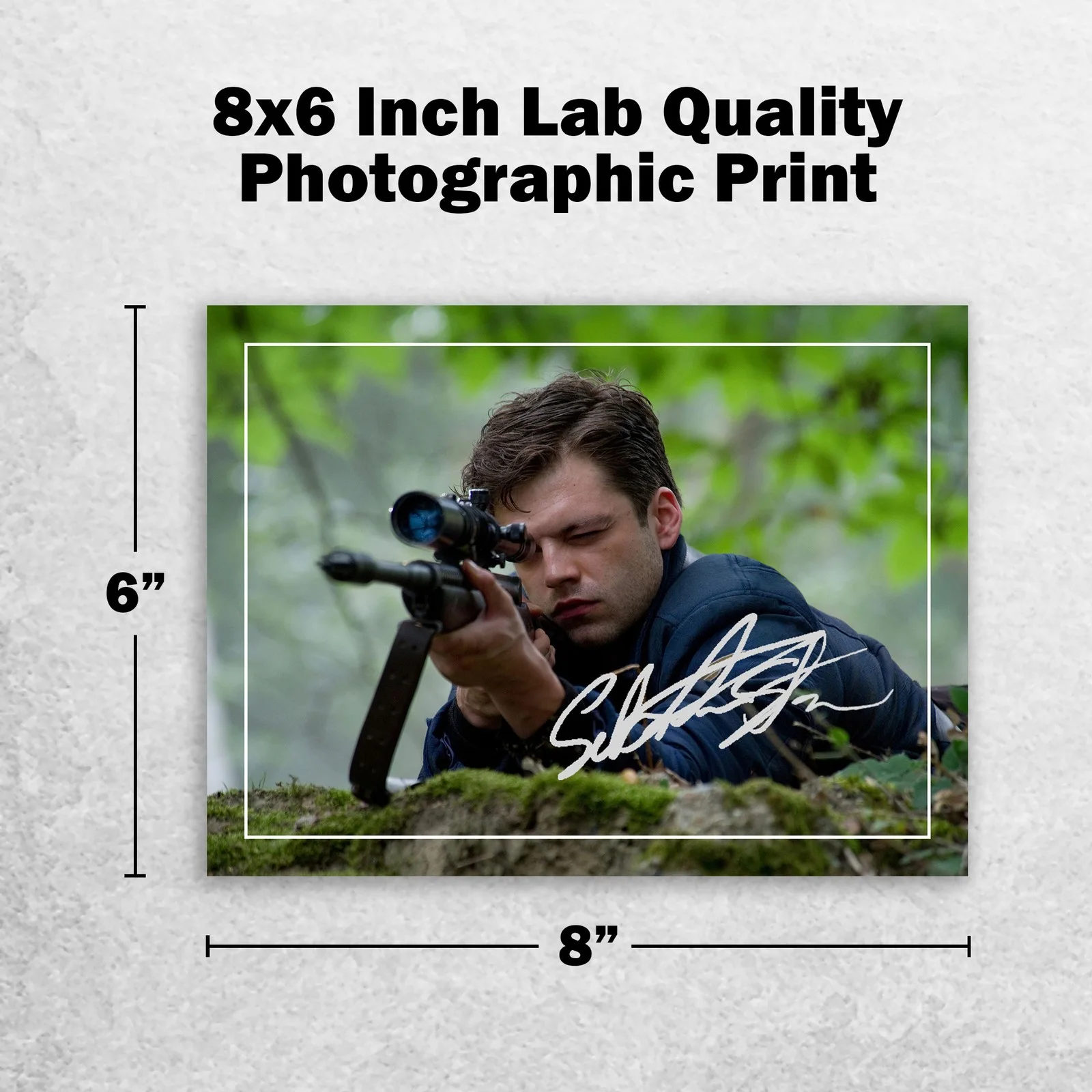 Sebastian Stan Signed Memorabilia 8x6 Pre Printed Autograph Photo Memorabilia, image 2