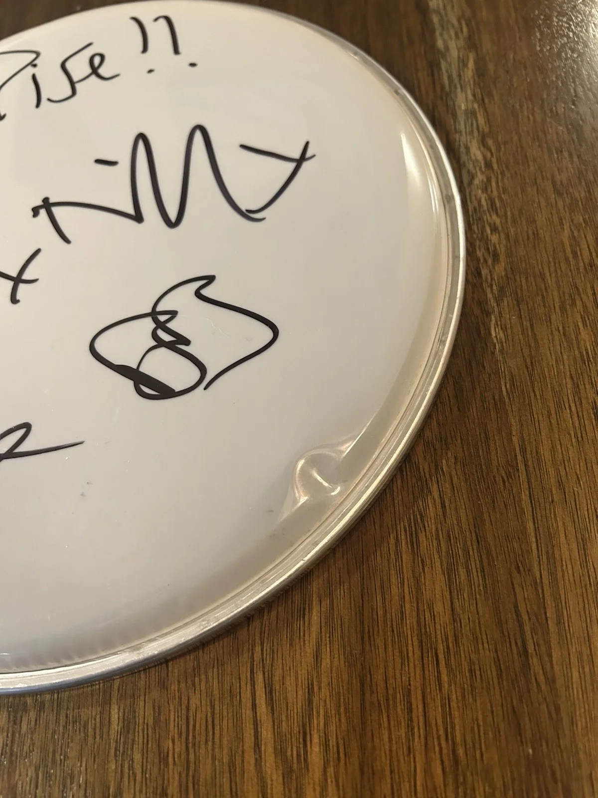 ‘Rise Against’ Full Band Signed 10” Drumhead ‘Tim Mcilrath +3’, image 2