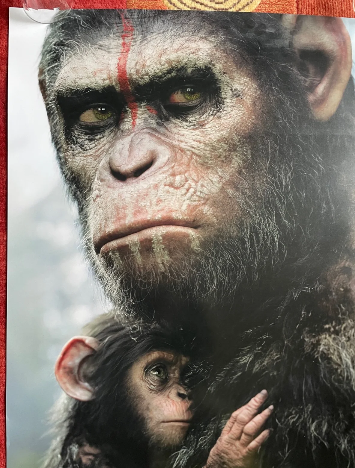 DAWN OF THE PLANET OF THE APES (2014) Original UK One Sheet Movie Film Poster, изображение 2