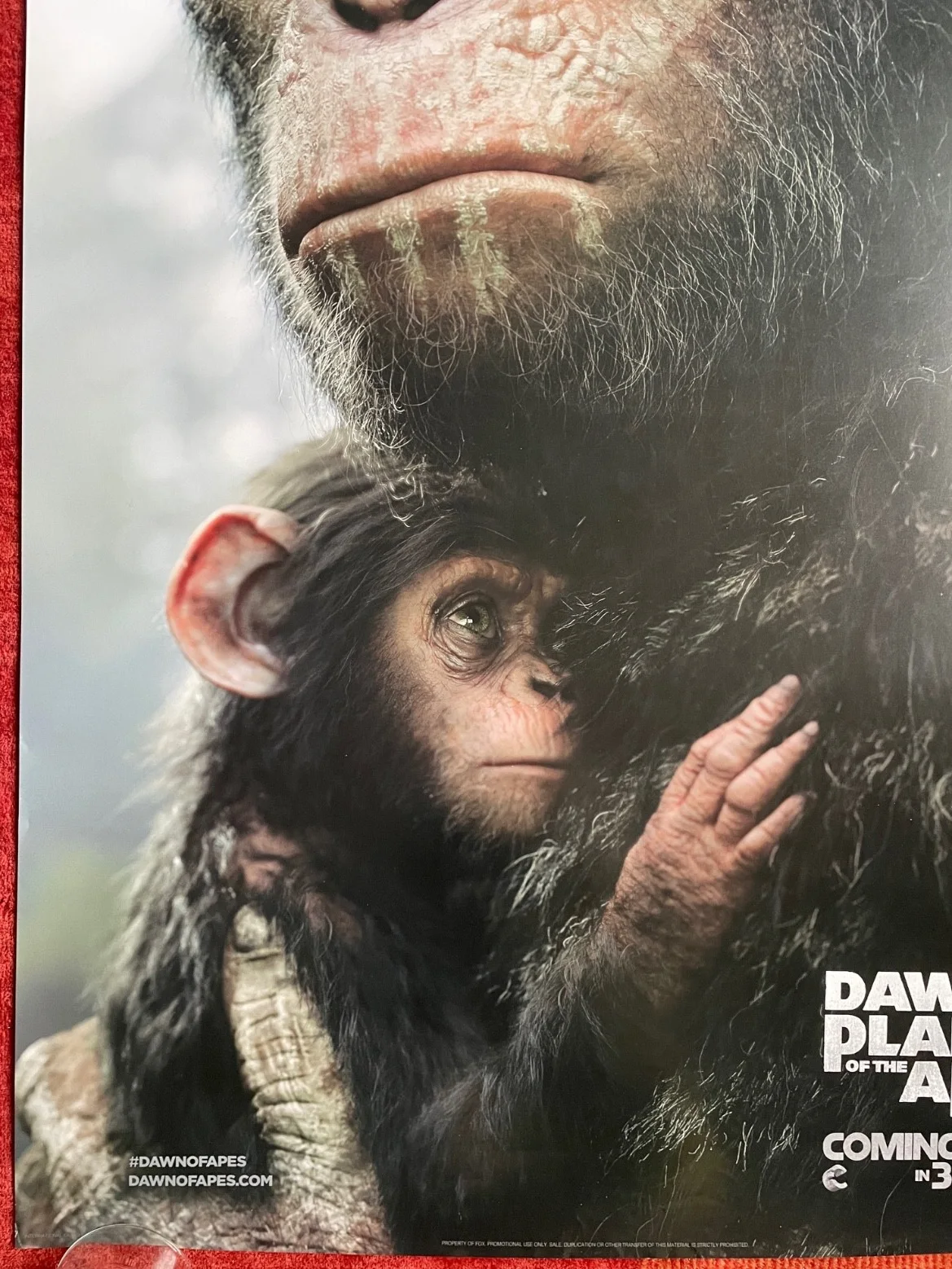 DAWN OF THE PLANET OF THE APES (2014) Original UK One Sheet Movie Film Poster, изображение 4