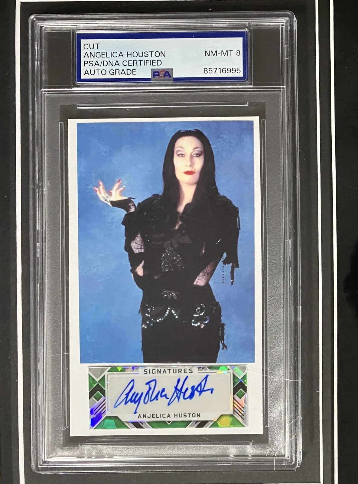 Vampira, Morticia Adams, Lily Munster & Elvira Signed Framed Display – PSA, изображение 3